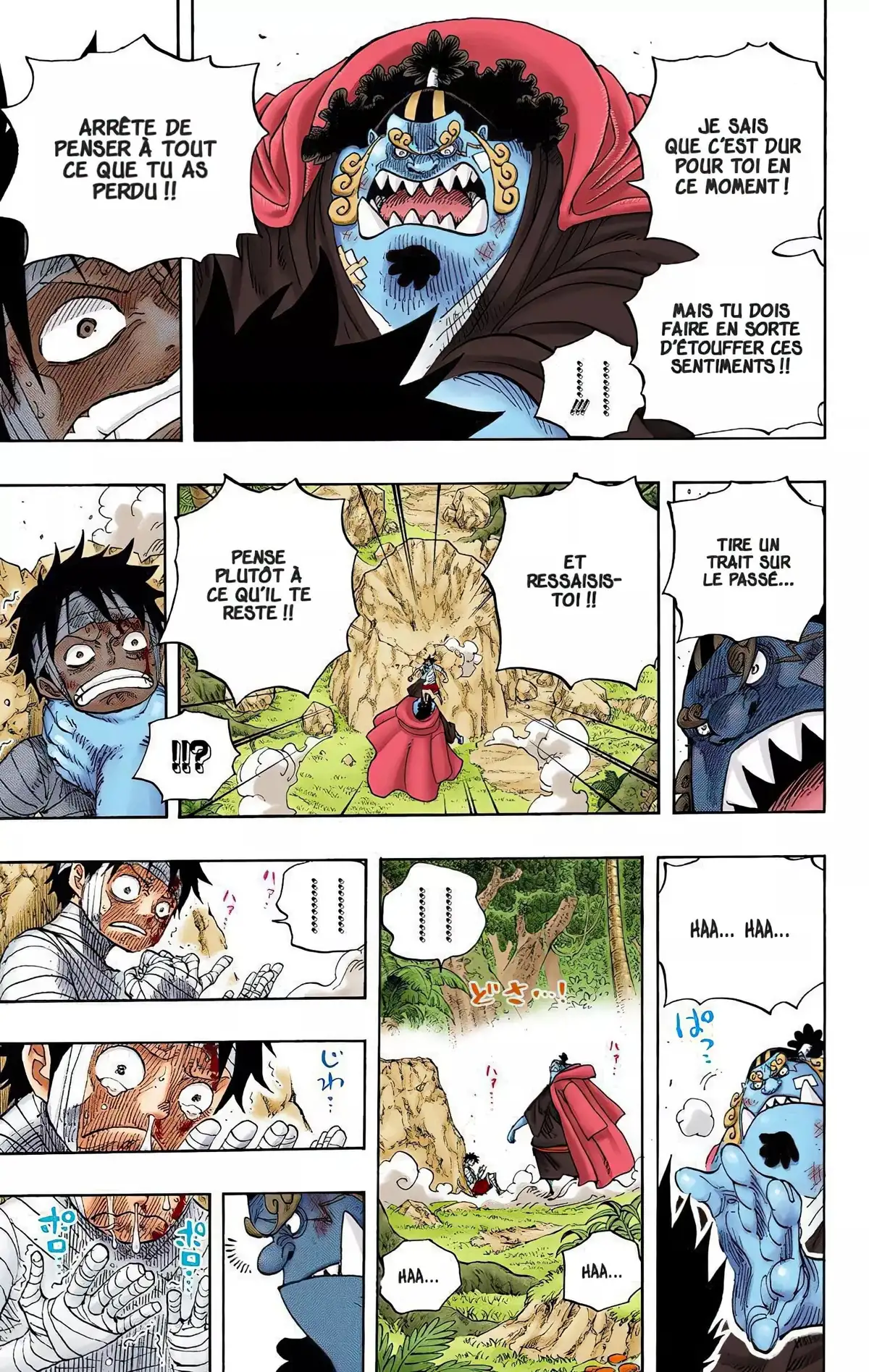 One Piece Volume 60 page 110