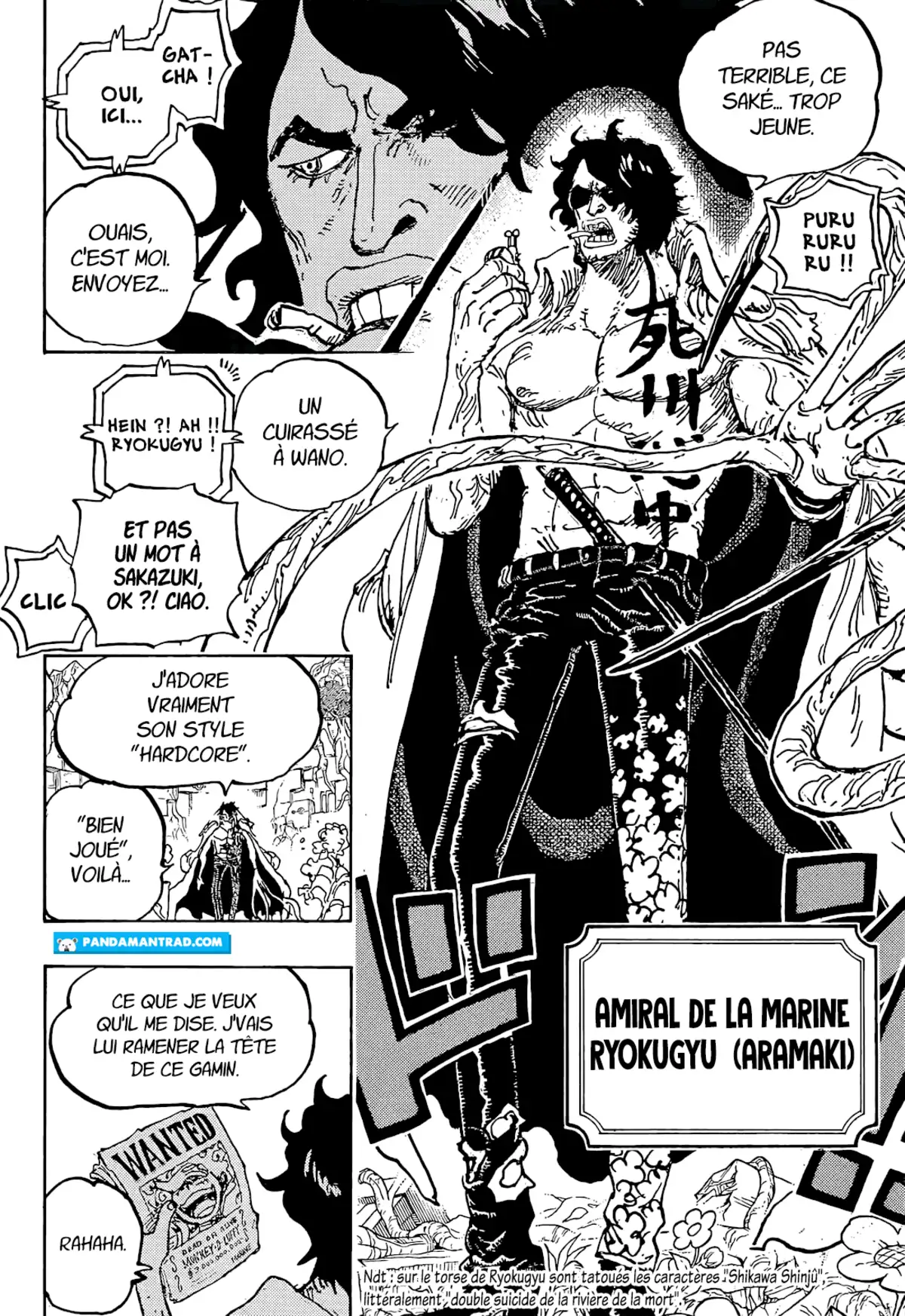 One Piece Chapitre 1053 page 11