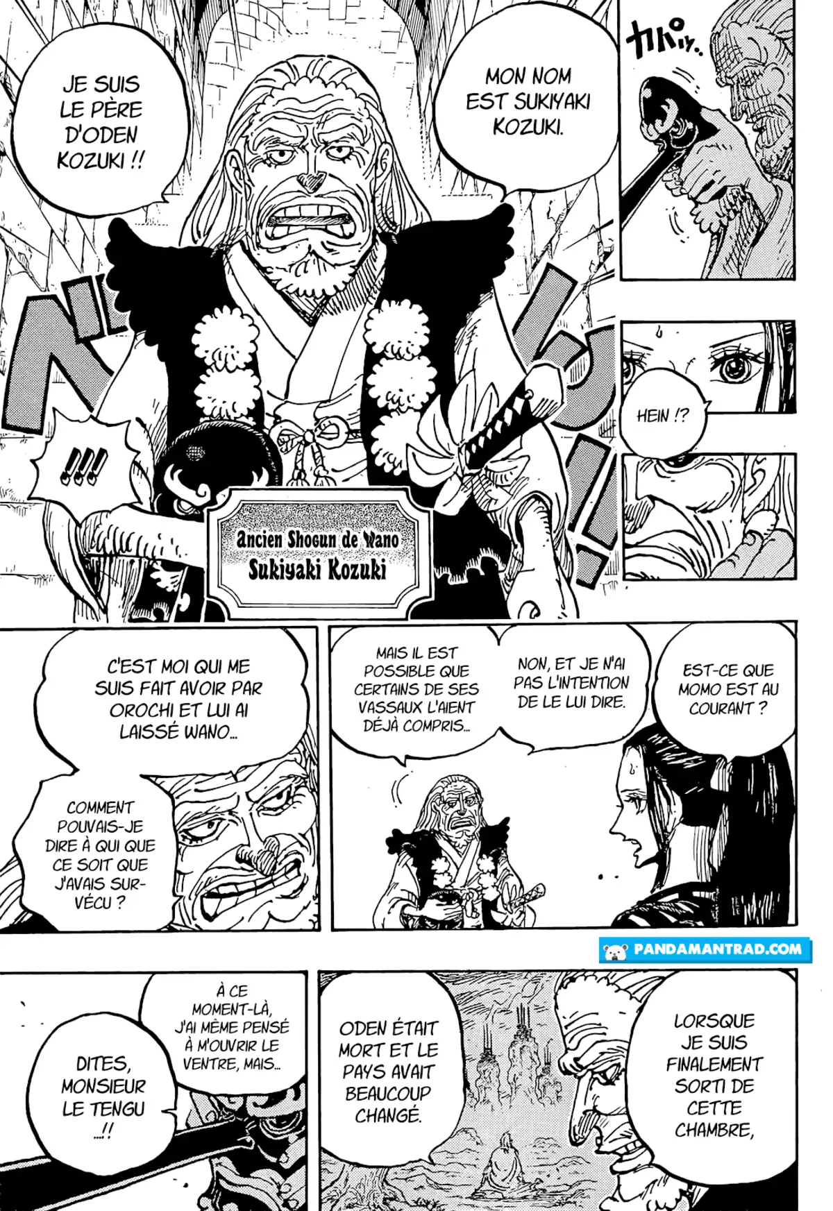 One Piece Chapitre 1053 page 8