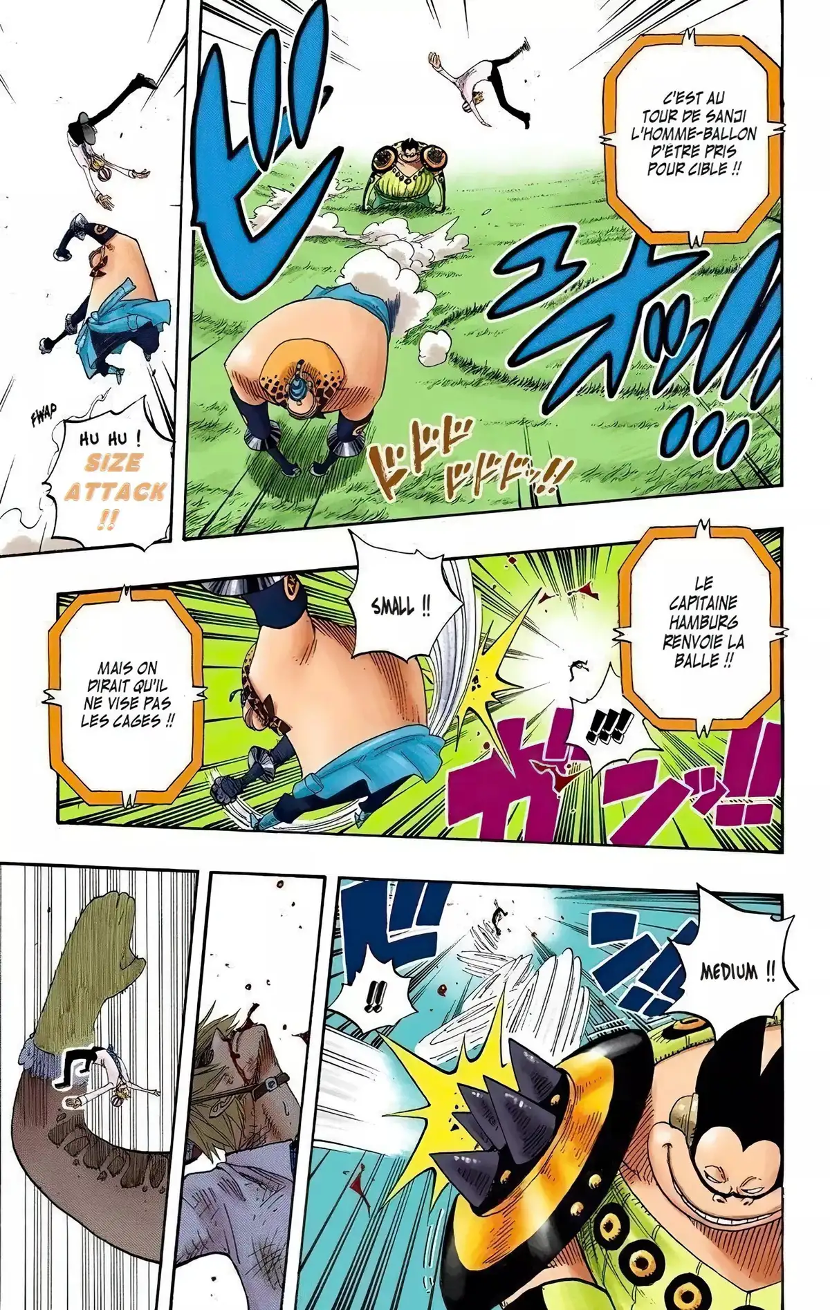 One Piece Volume 33 page 110