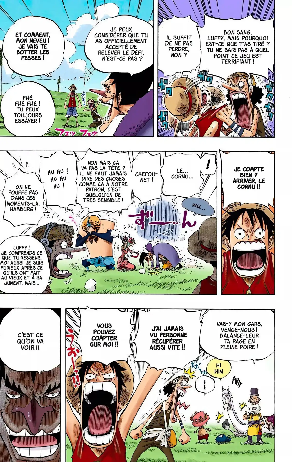 One Piece Volume 33 page 12