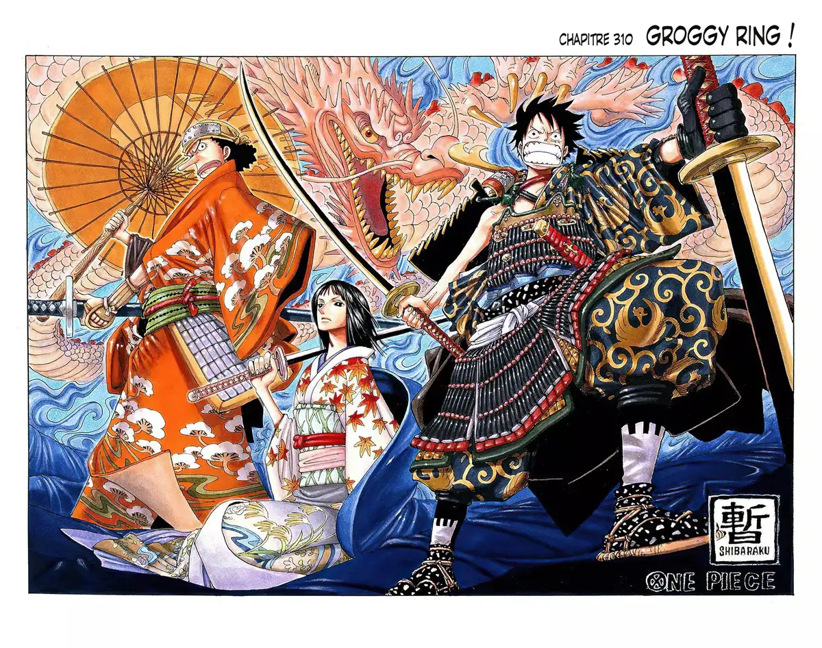 One Piece Volume 33 page 76