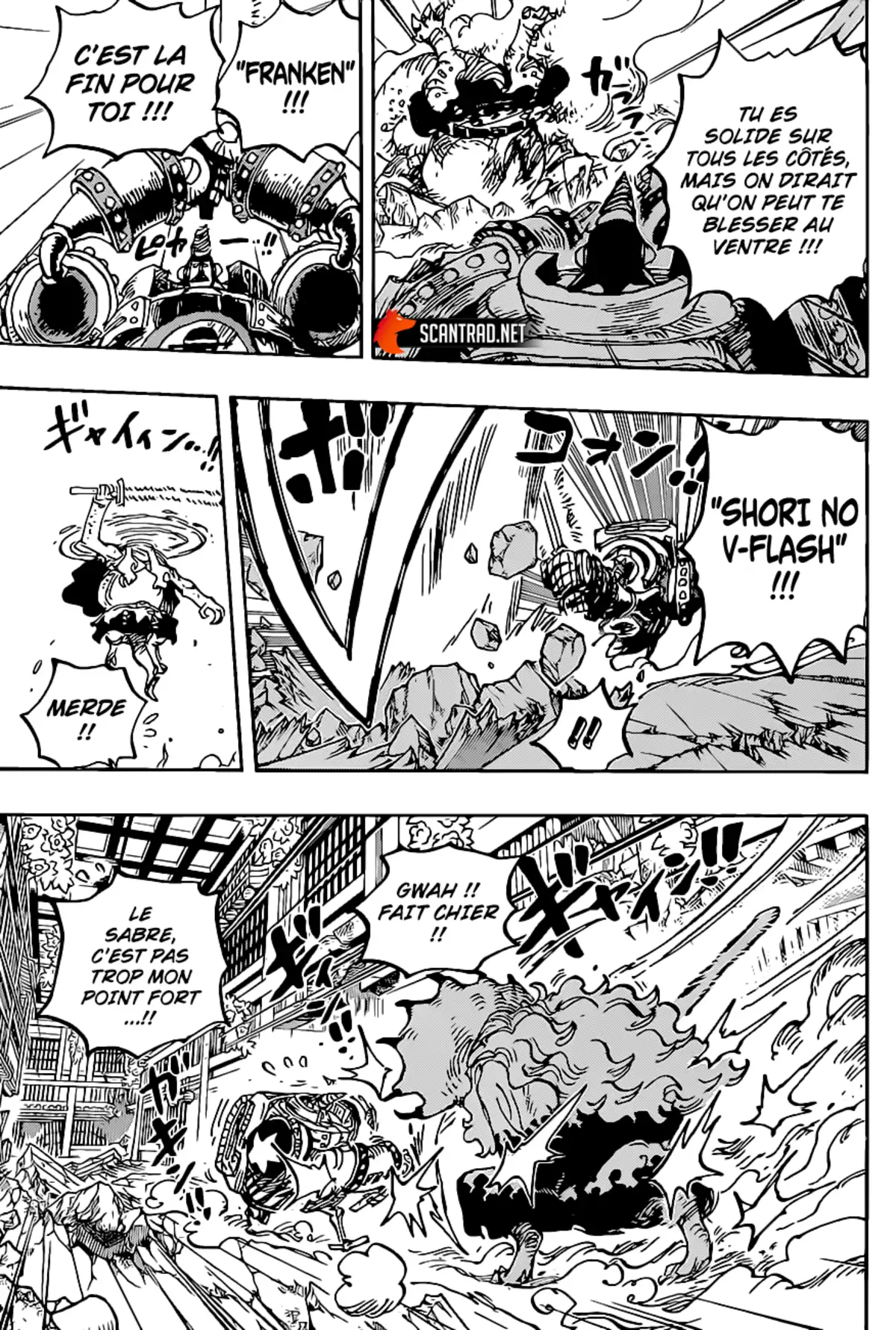 One Piece Chapitre 1019 page 14