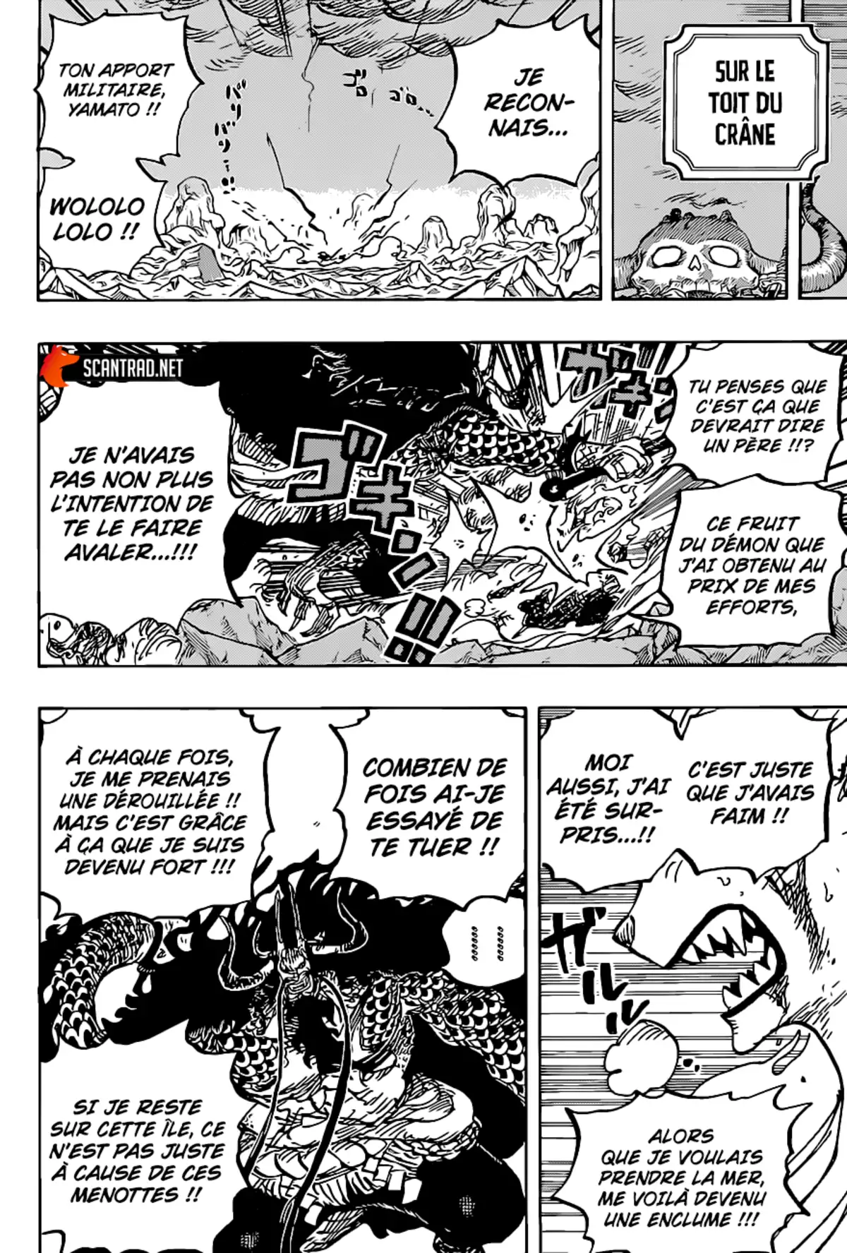 One Piece Chapitre 1019 page 18