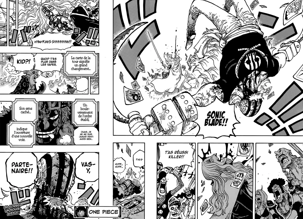 One Piece Chapitre 1029 page 14