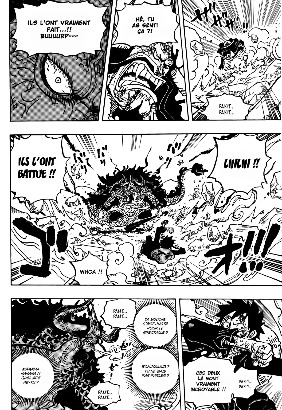 One Piece Chapitre 1041 page 14