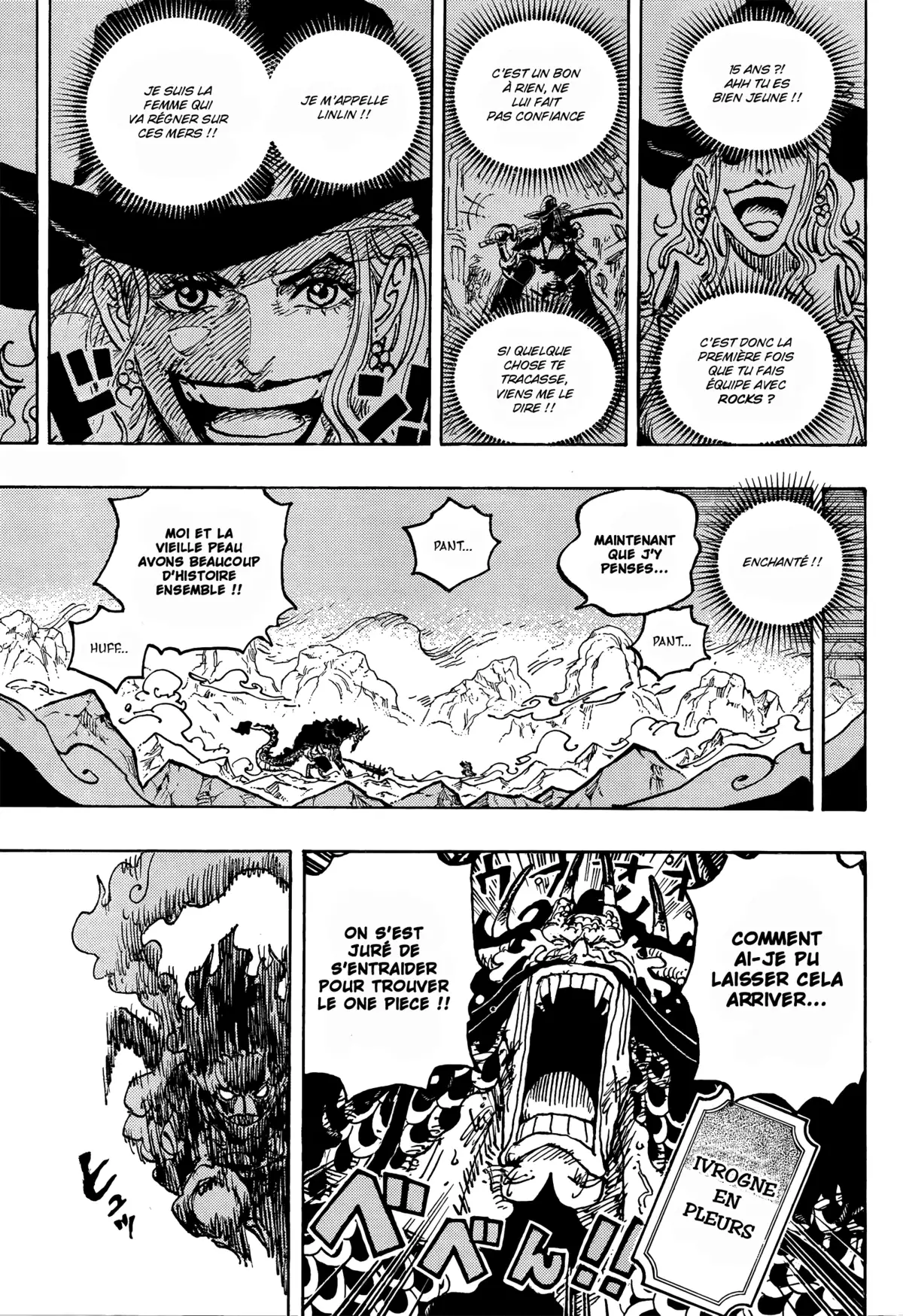 One Piece Chapitre 1041 page 15