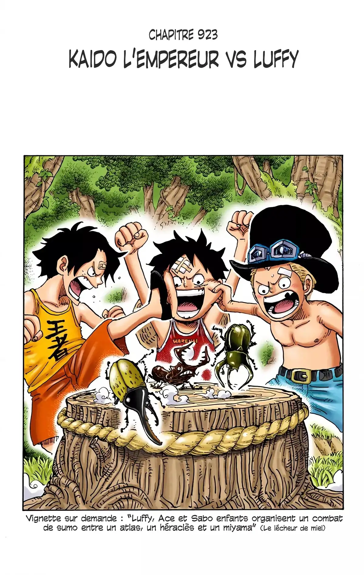 One Piece Volume 92 page 16