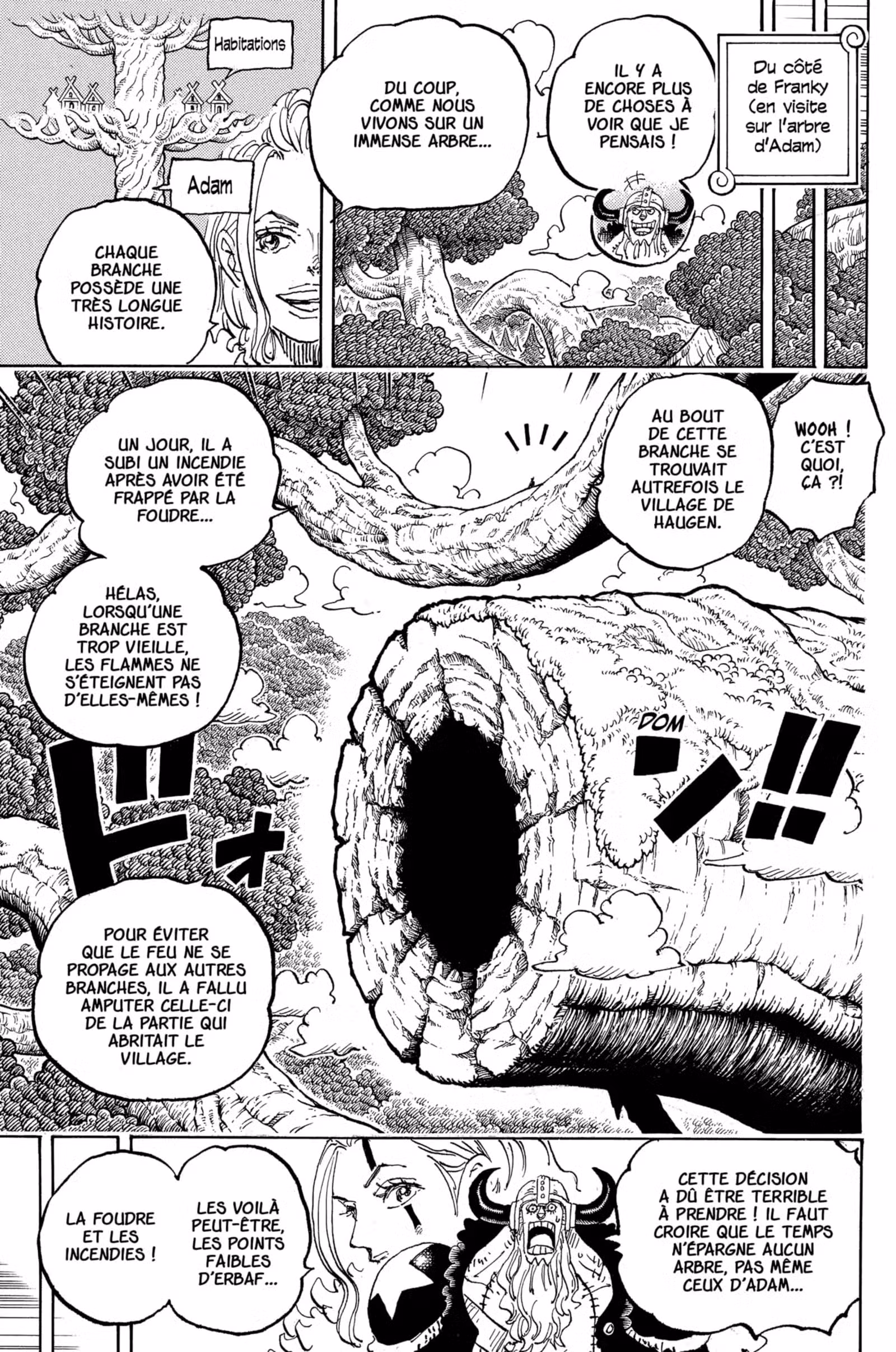 One Piece Chapitre 1141 page 3