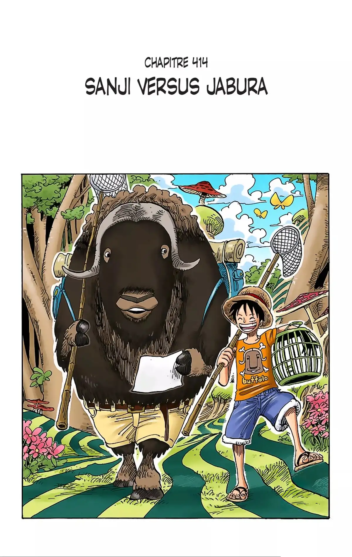 One Piece Volume 43 page 72
