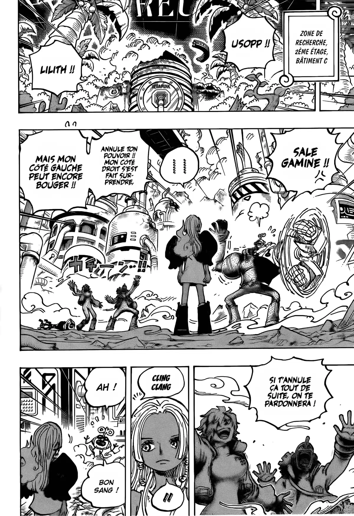 One Piece Chapitre 1078 page 5