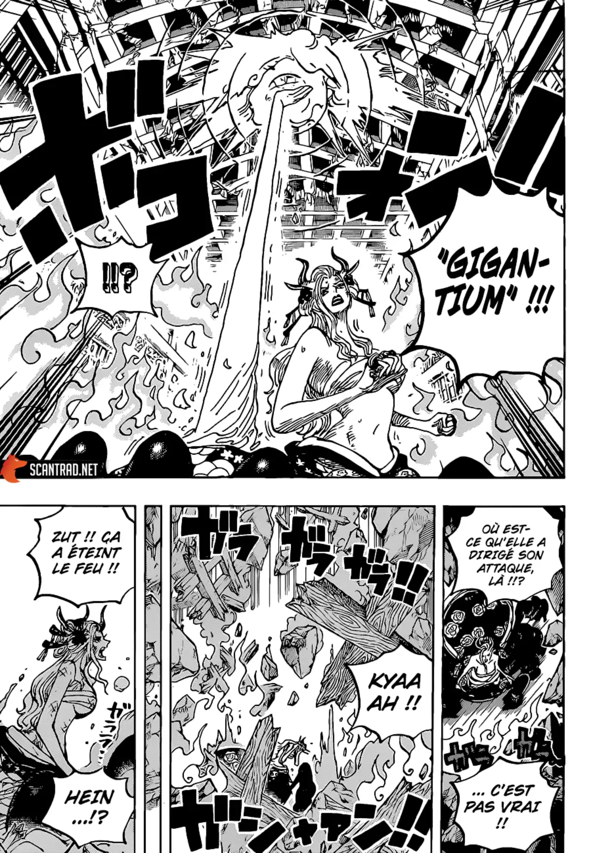 One Piece Chapitre 1021 page 12