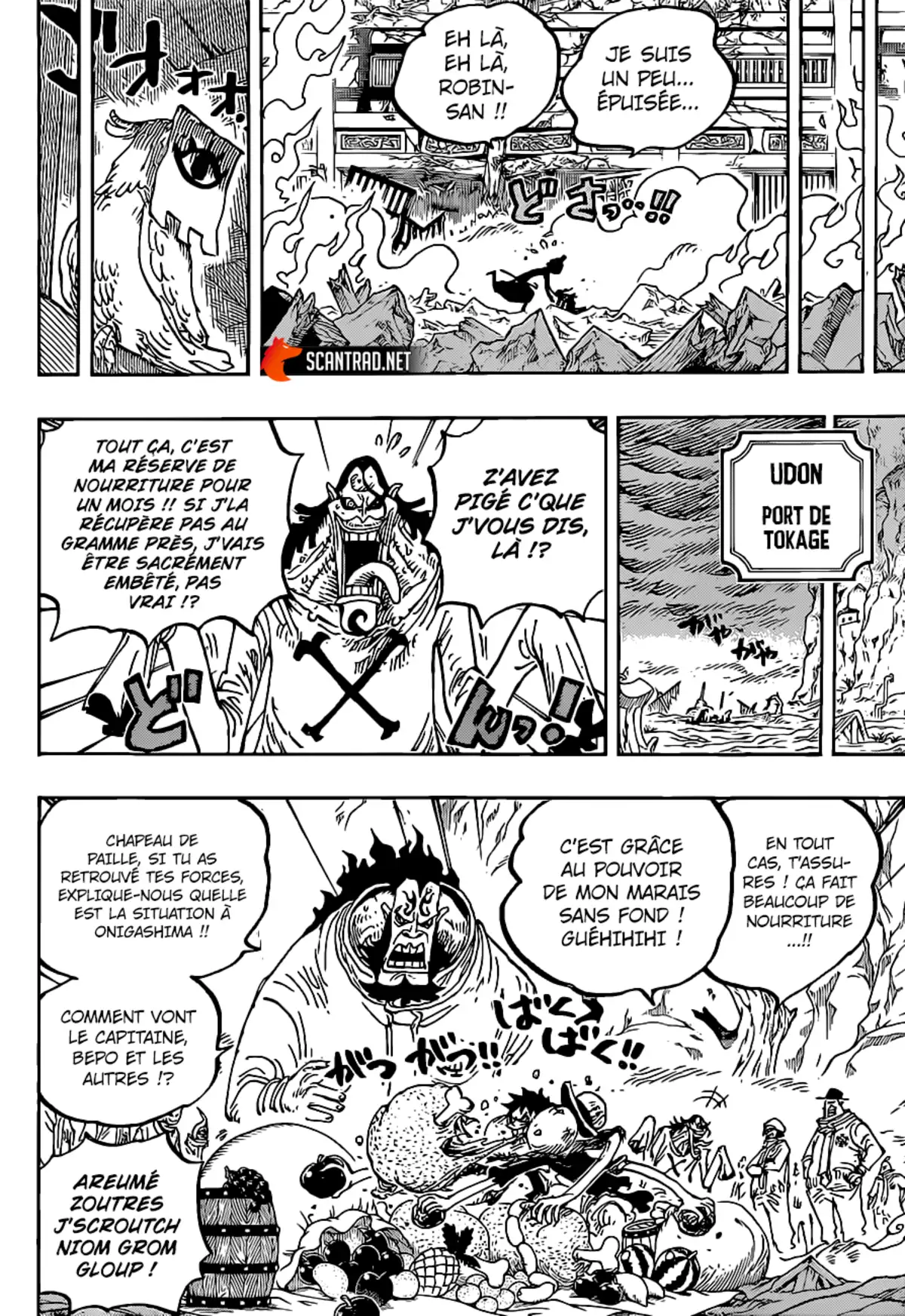 One Piece Chapitre 1021 page 15