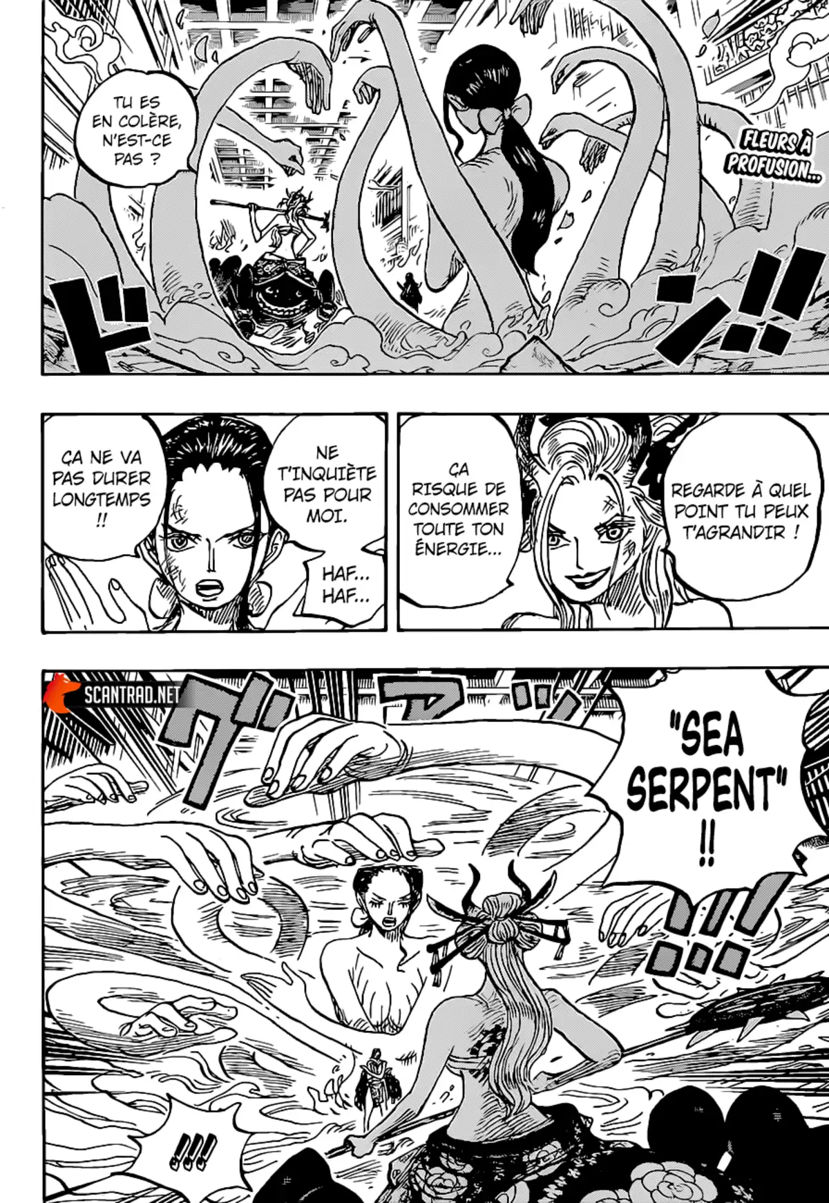 One Piece Chapitre 1021 page 3