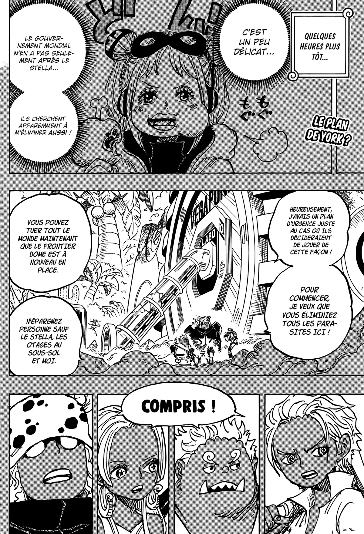 One Piece Chapitre 1079 page 3