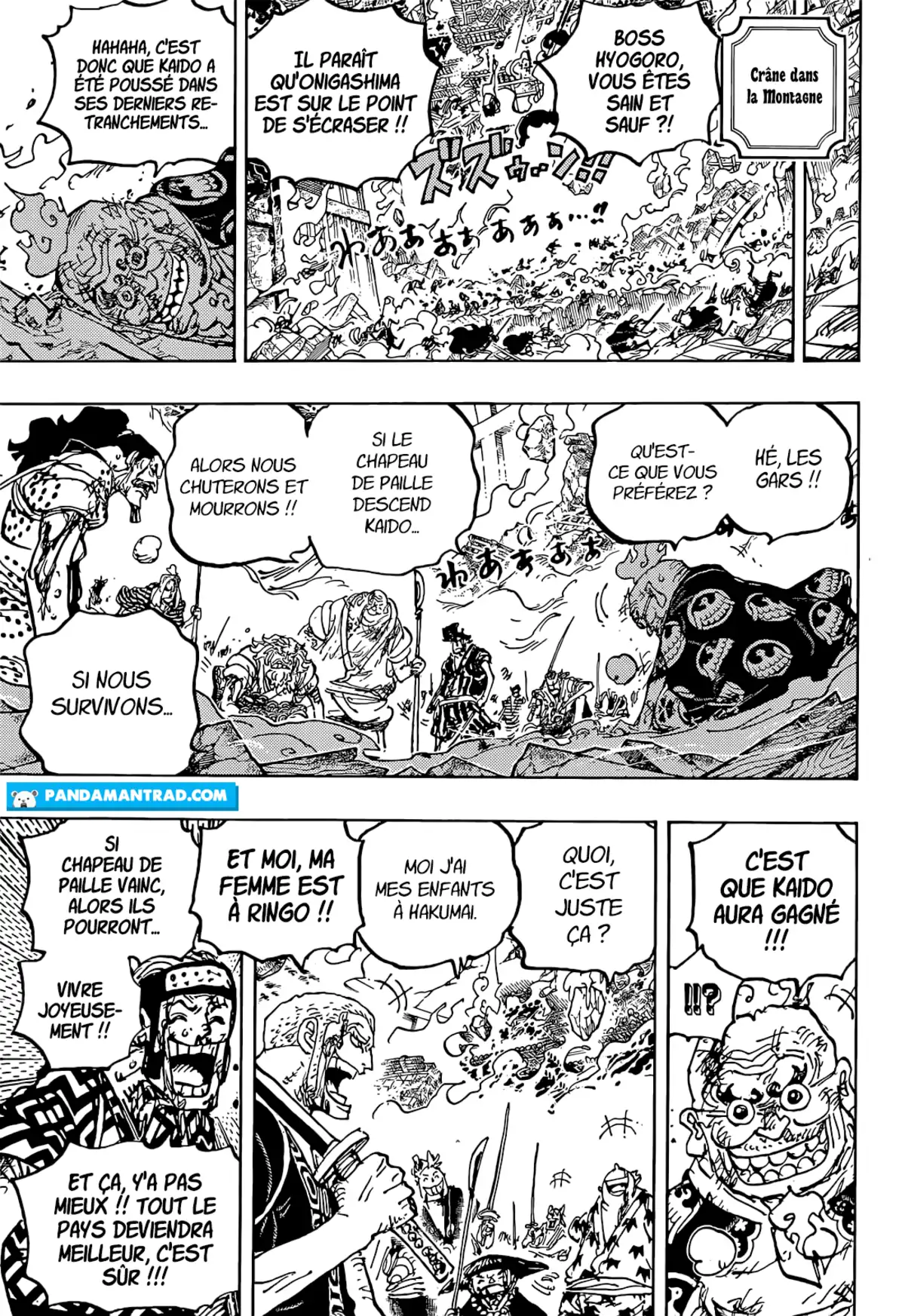 One Piece Chapitre 1047 page 14