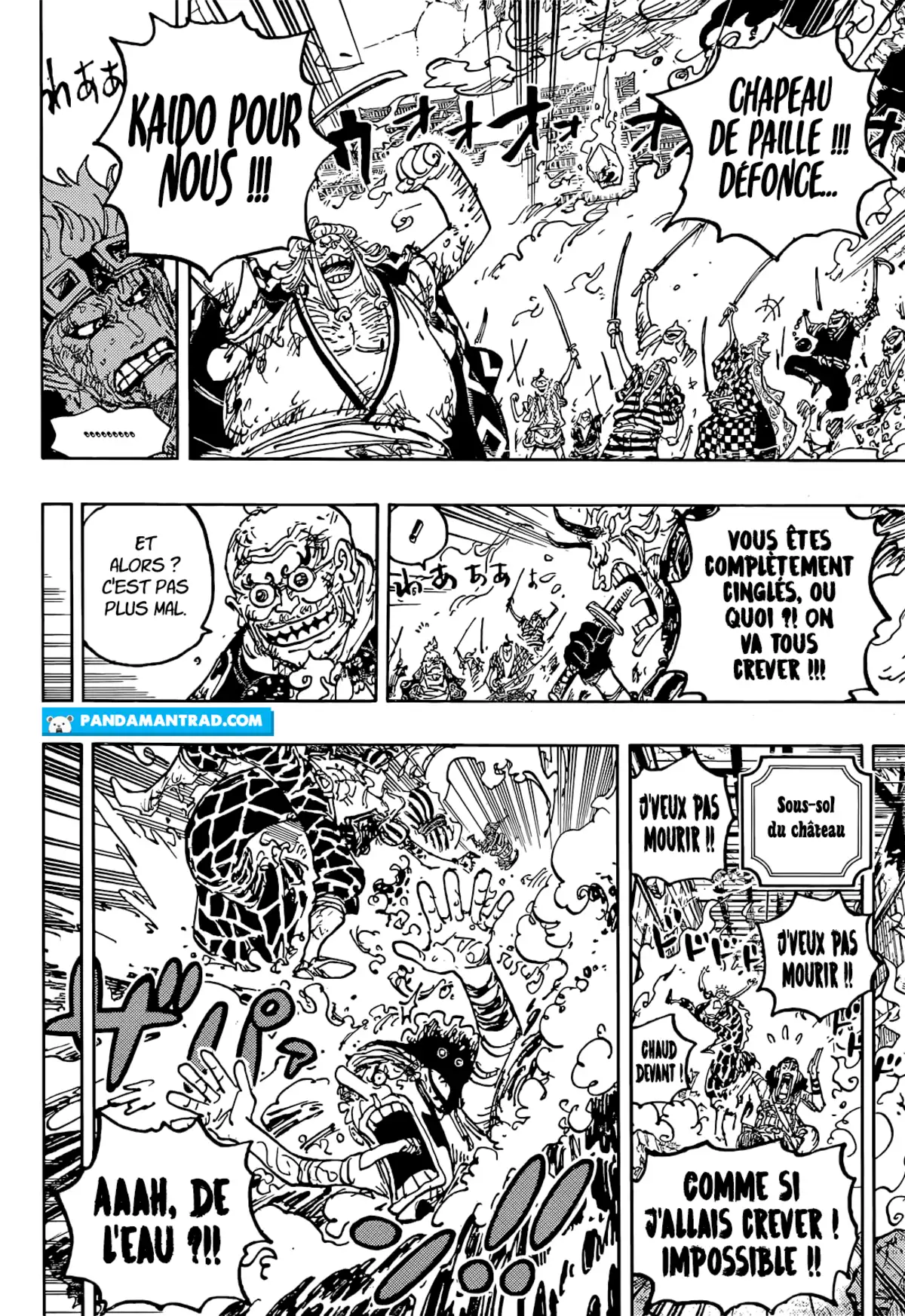 One Piece Chapitre 1047 page 15