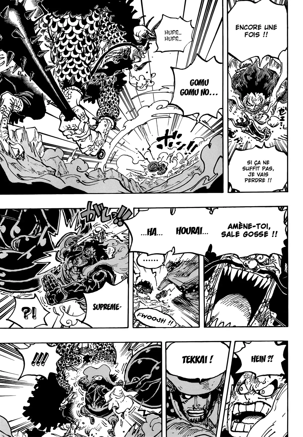 One Piece Chapitre 1042 page 13