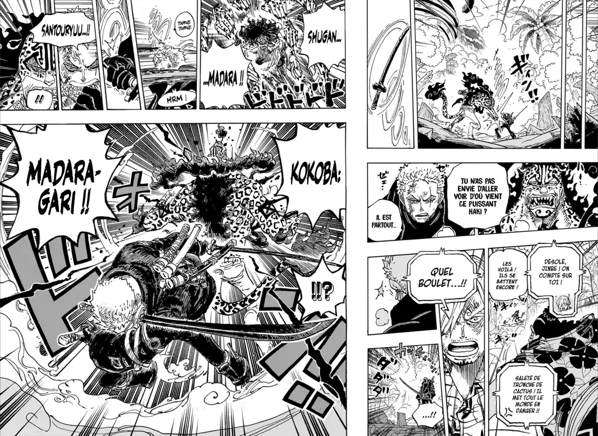 One Piece Chapitre 1110 page 12