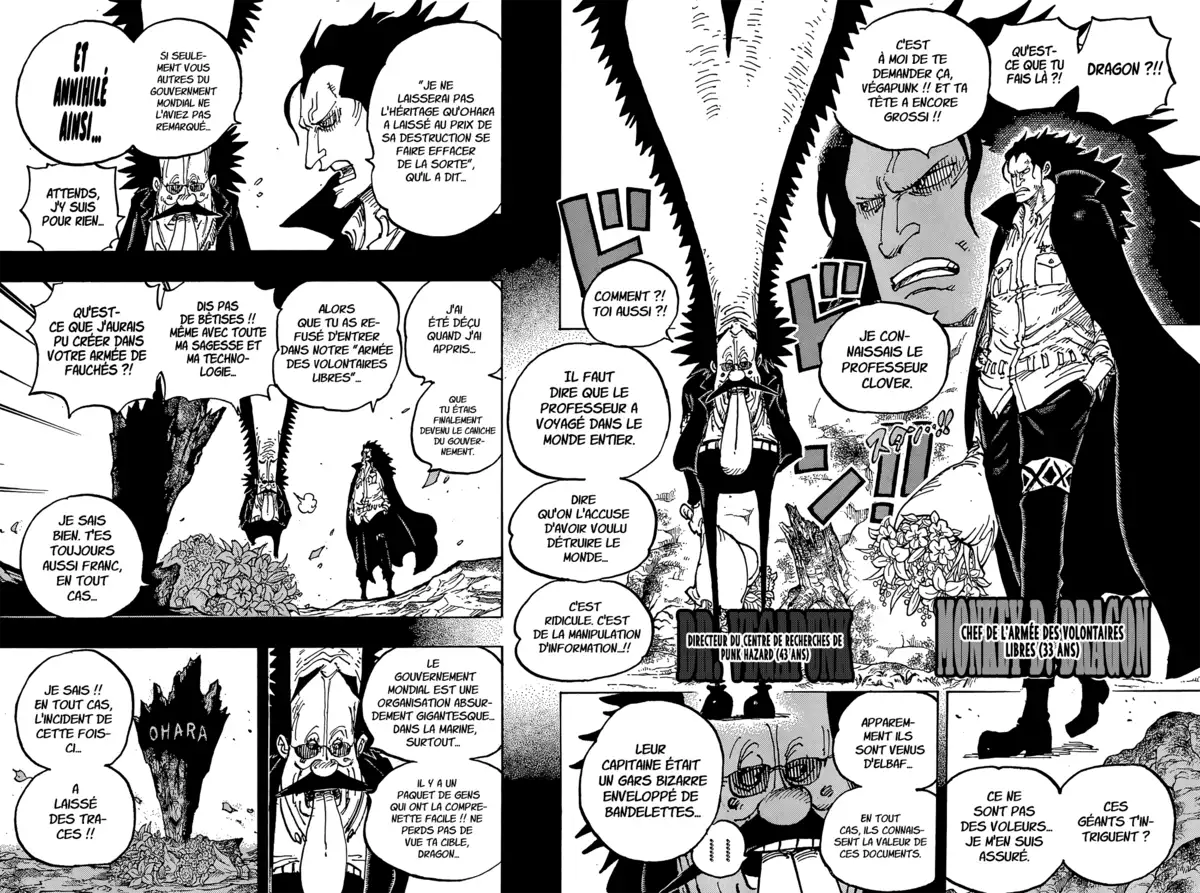 One Piece Chapitre 1066 page 10