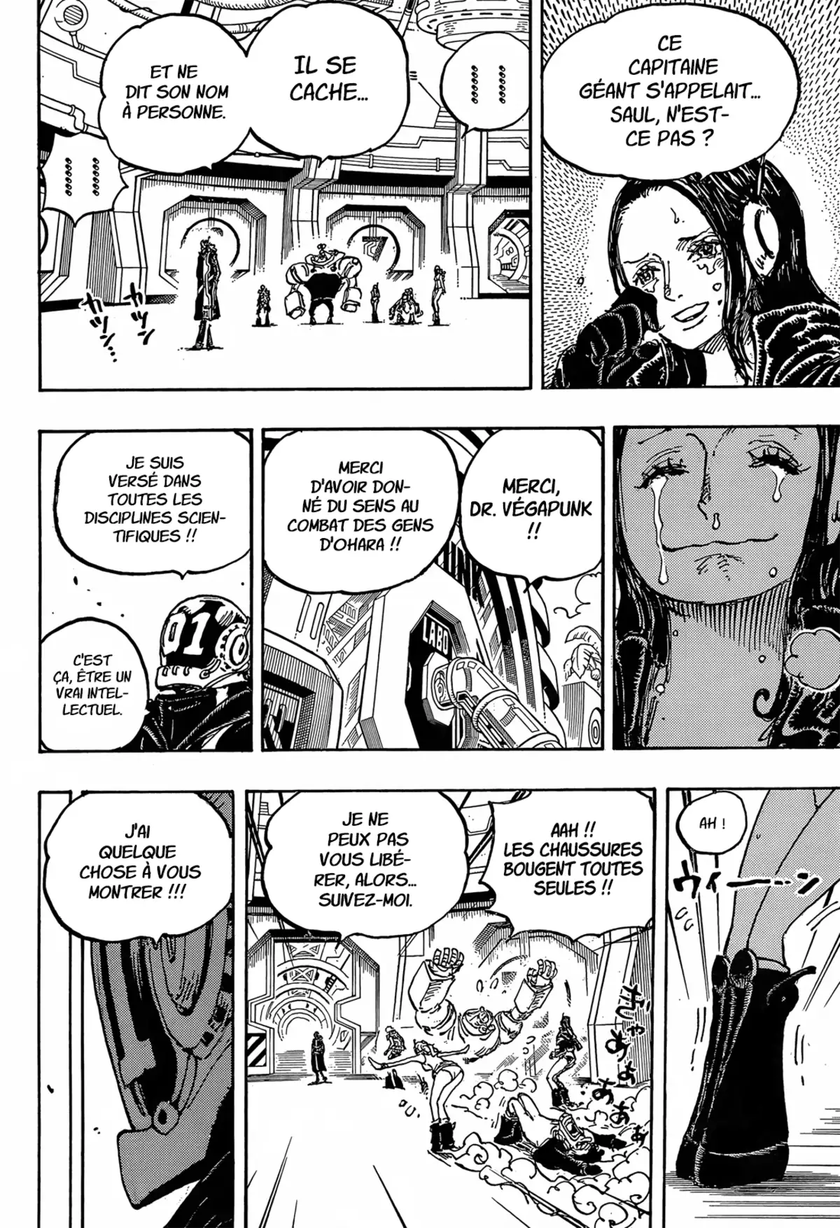 One Piece Chapitre 1066 page 13