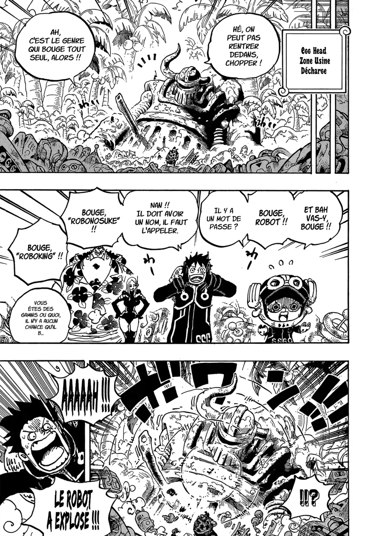 One Piece Chapitre 1066 page 14