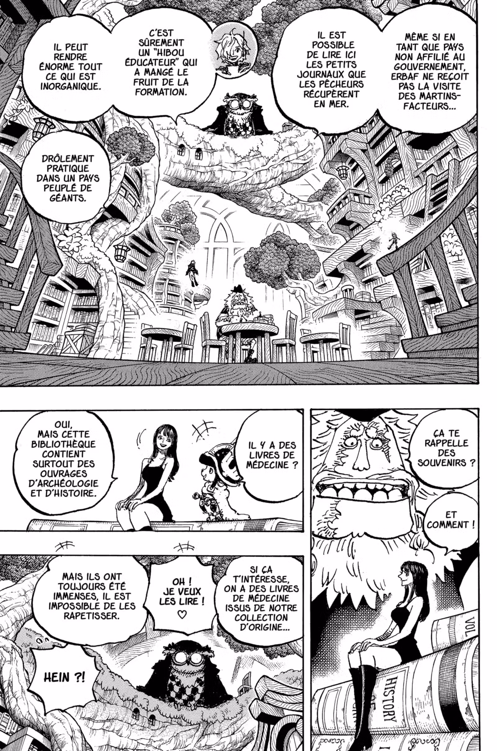 One Piece Chapitre 1135 page 3