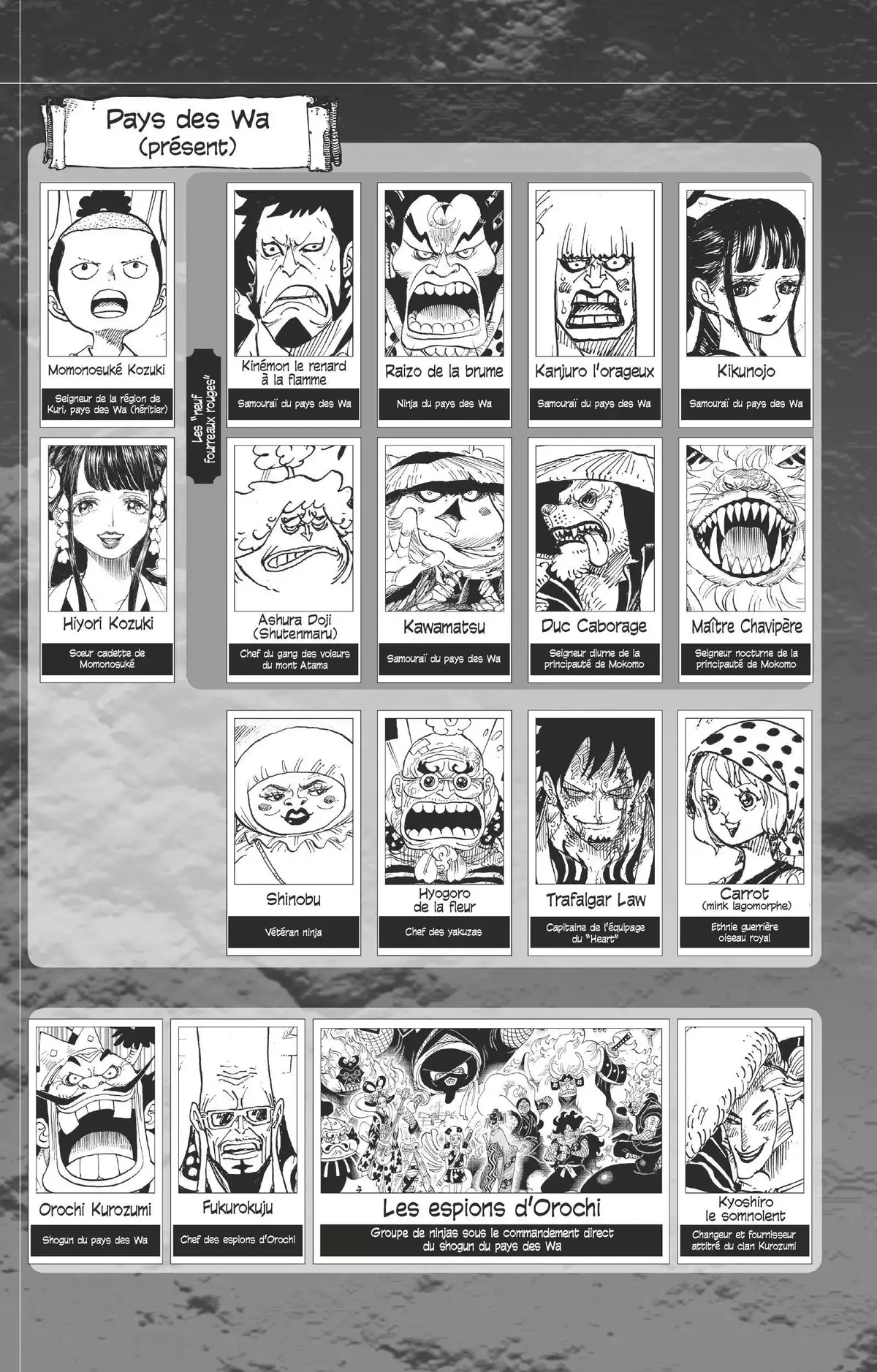 One Piece Volume 96 page 5