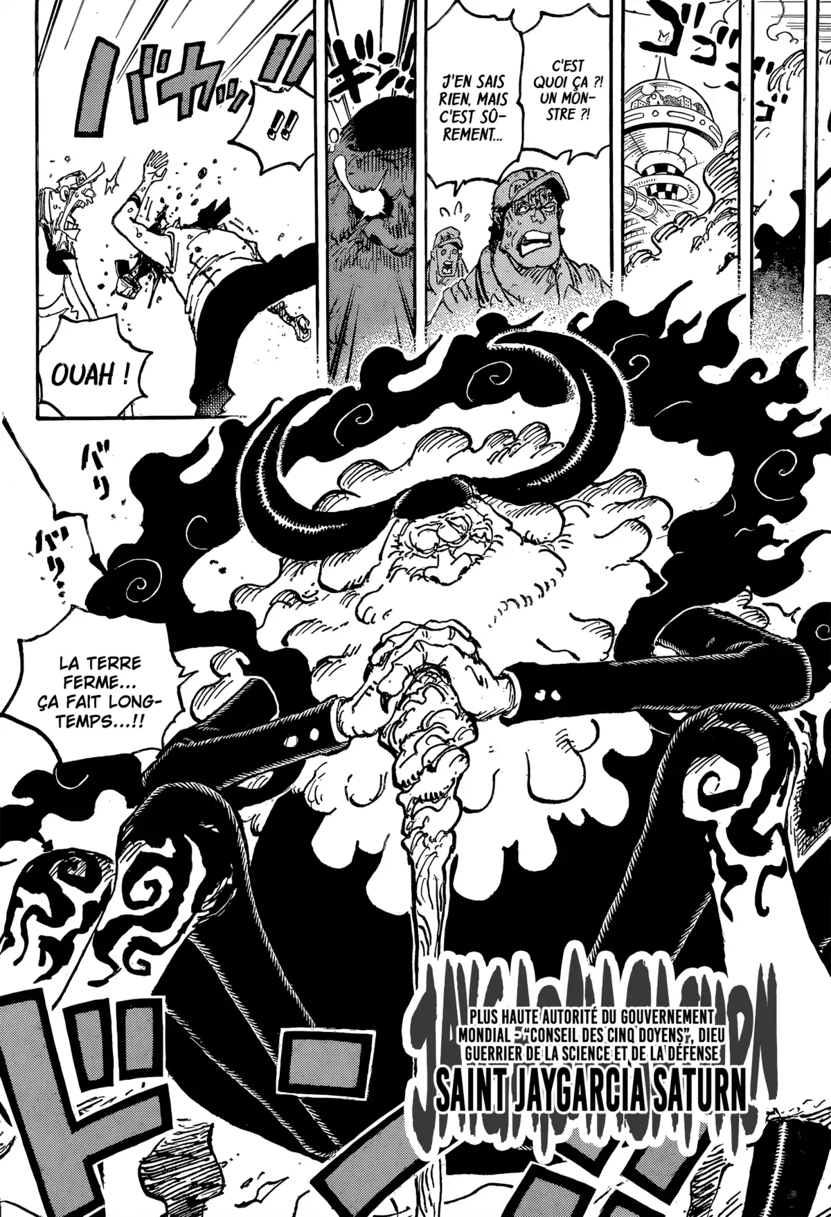 One Piece Chapitre 1094 page 14