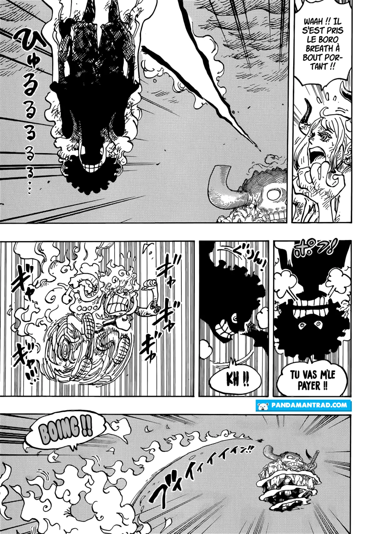 One Piece Chapitre 1045 page 10