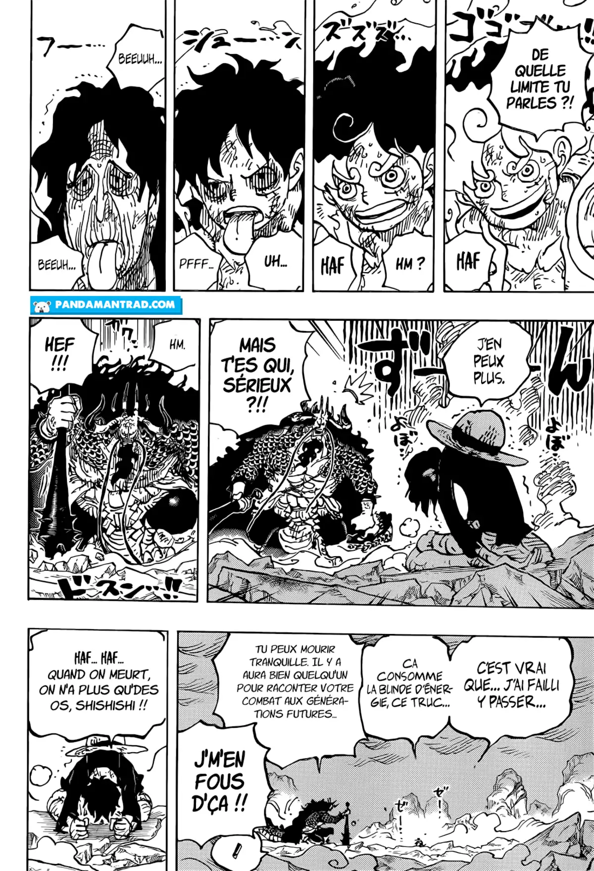 One Piece Chapitre 1045 page 13