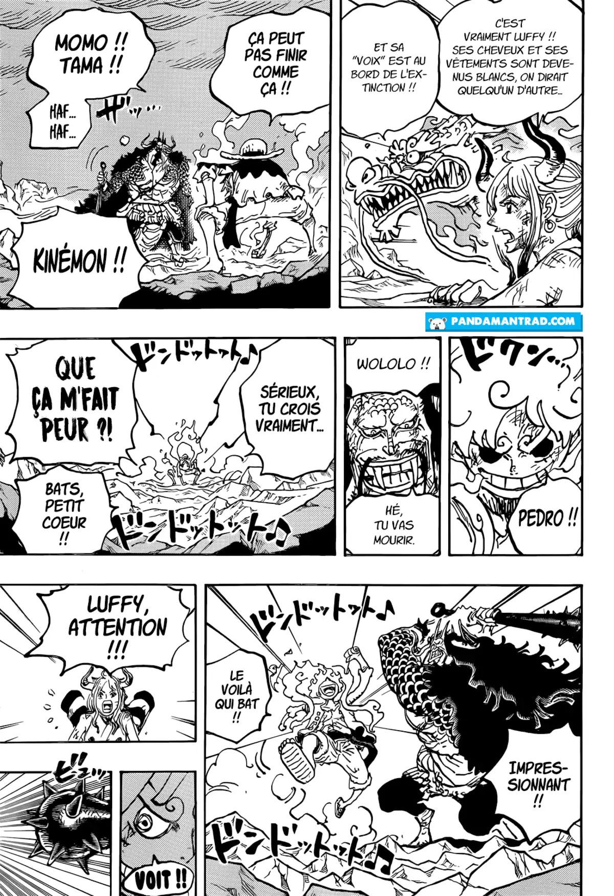 One Piece Chapitre 1045 page 14