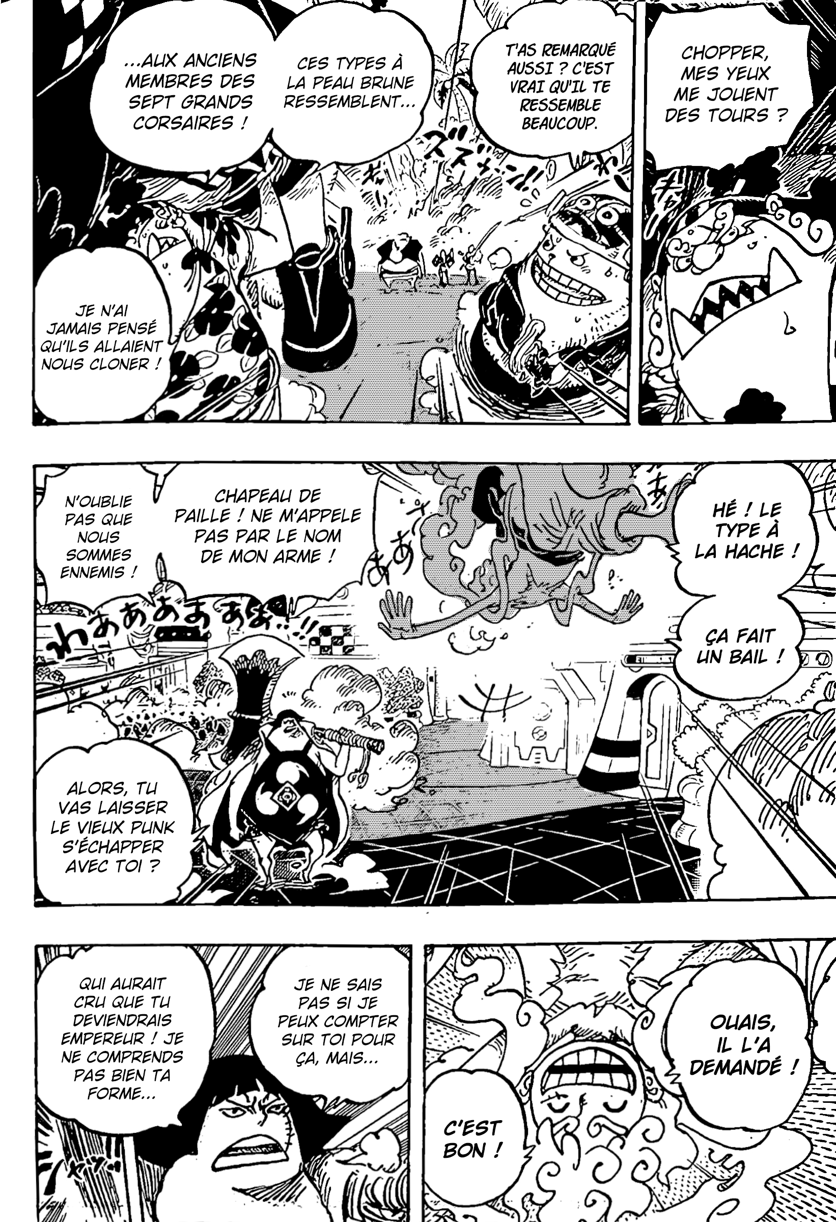 One Piece Chapitre 1069 page 13