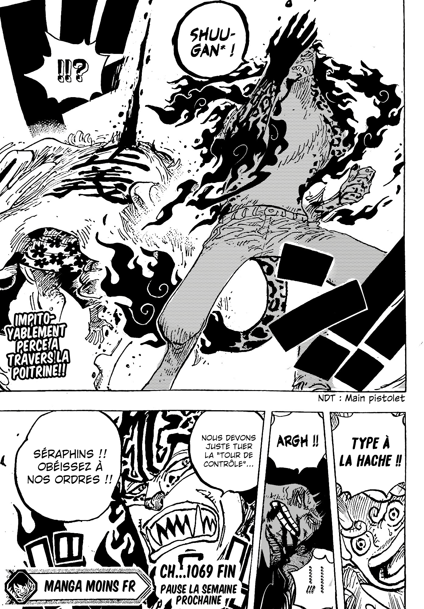 One Piece Chapitre 1069 page 14