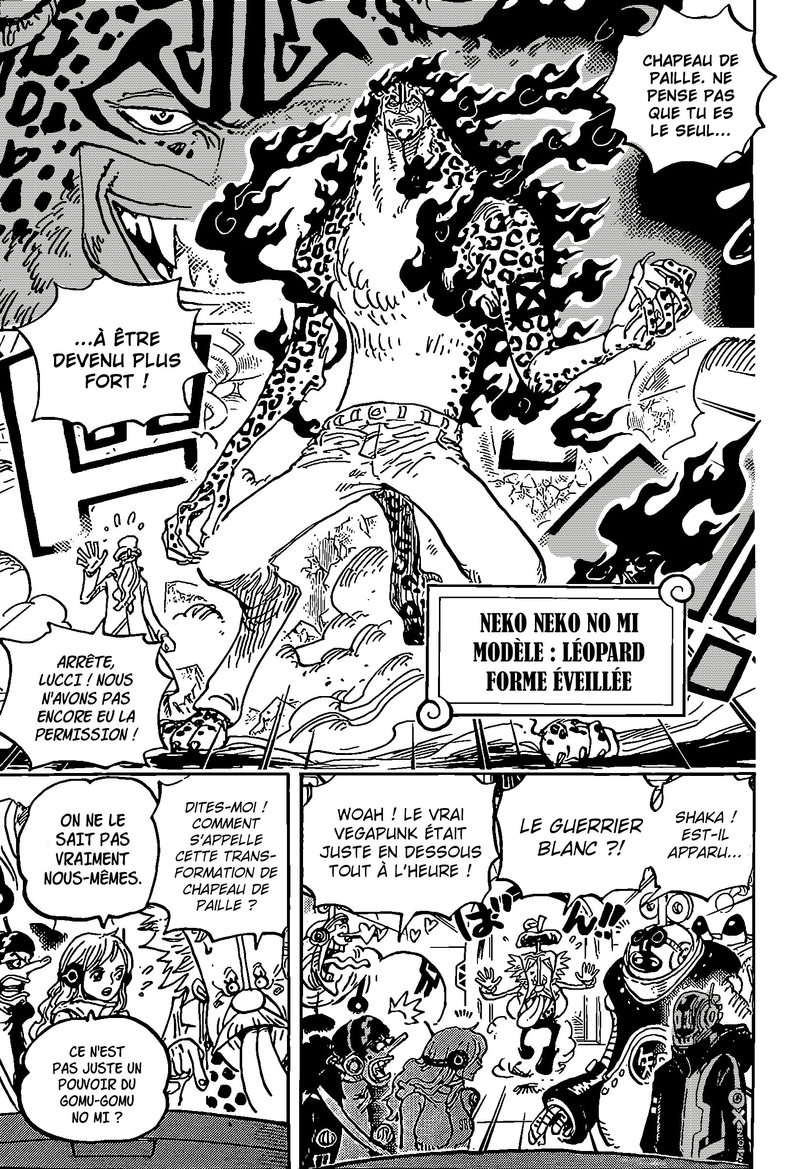 One Piece Chapitre 1069 page 7