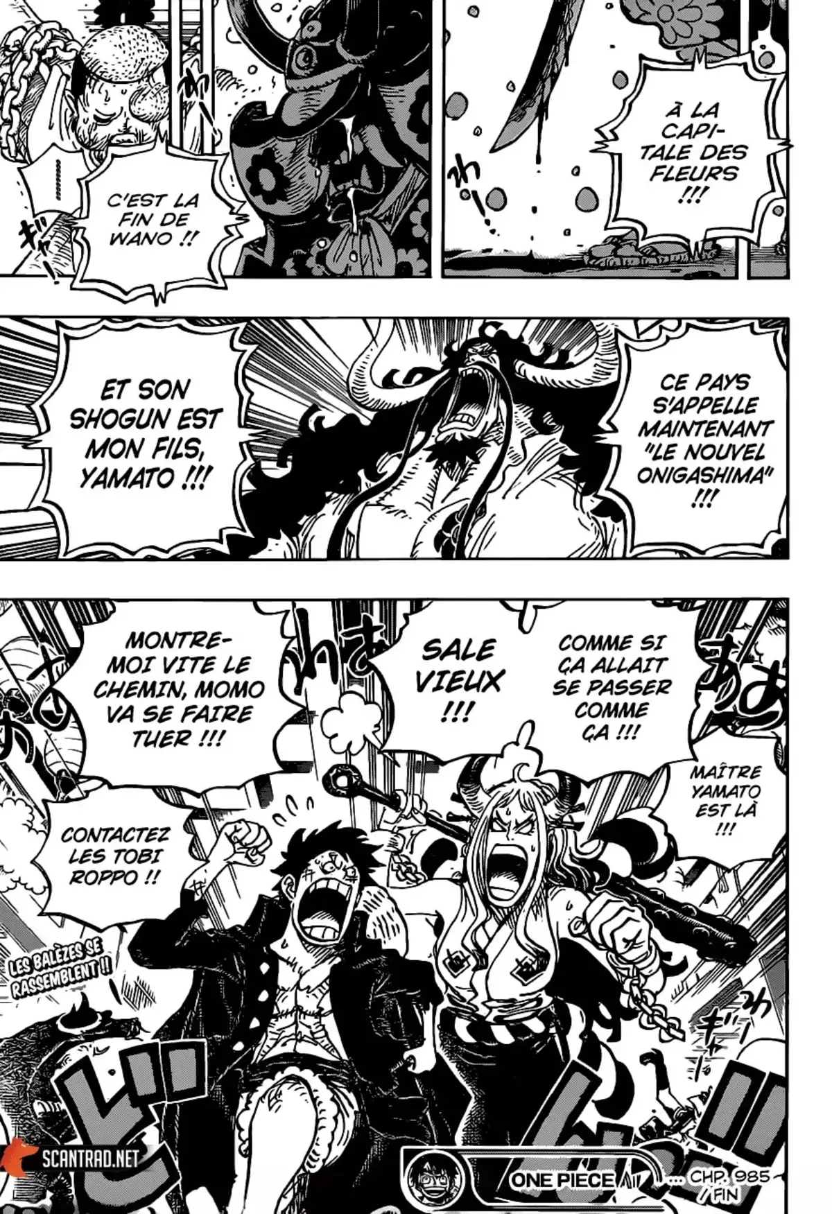 One Piece Chapitre 985 page 17