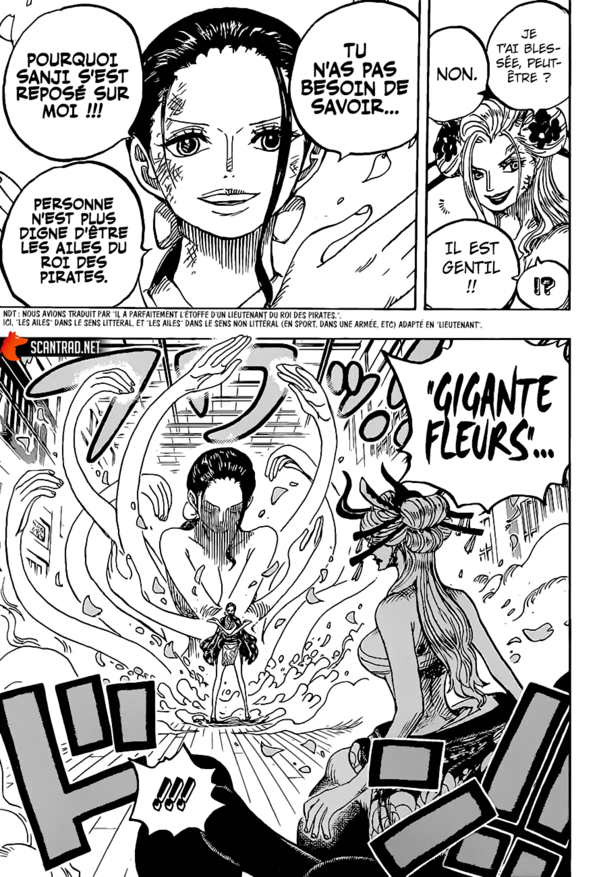 One Piece Chapitre 1020 page 15