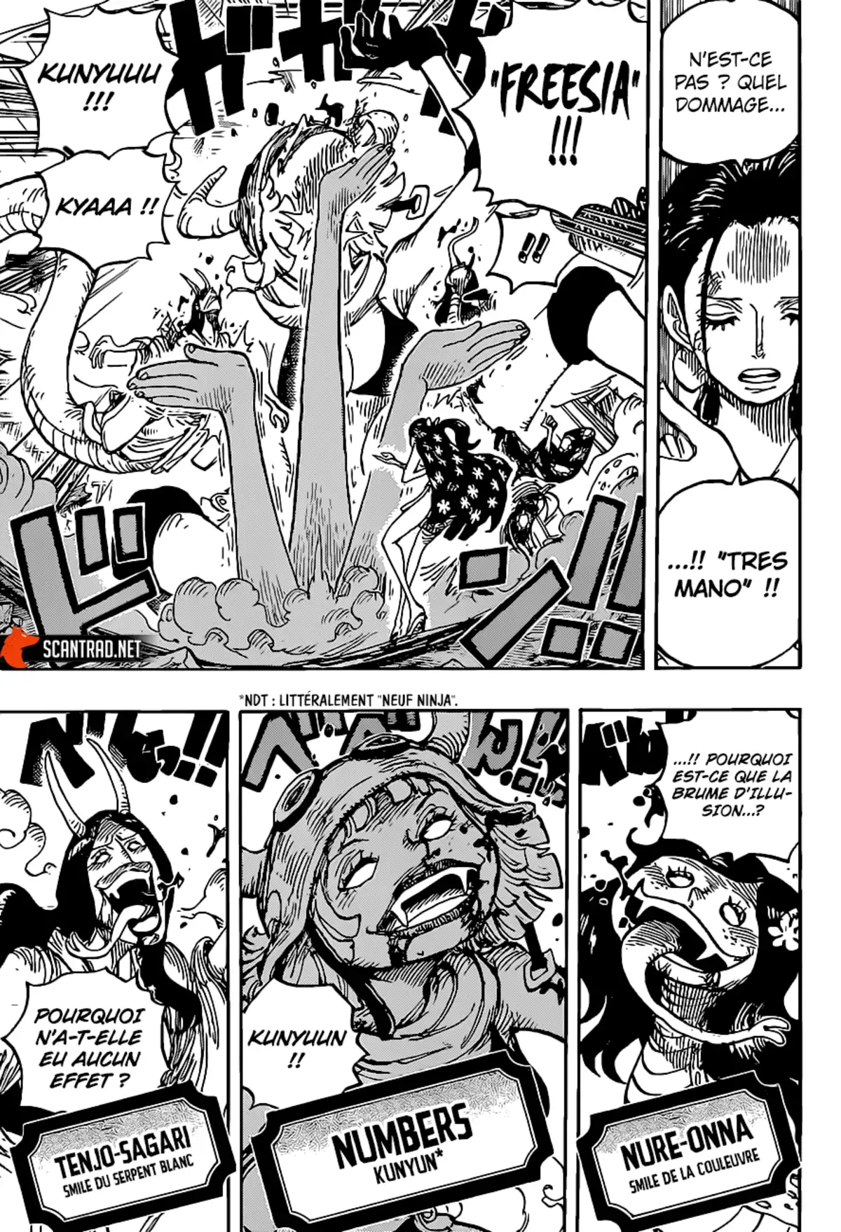 One Piece Chapitre 1020 page 7