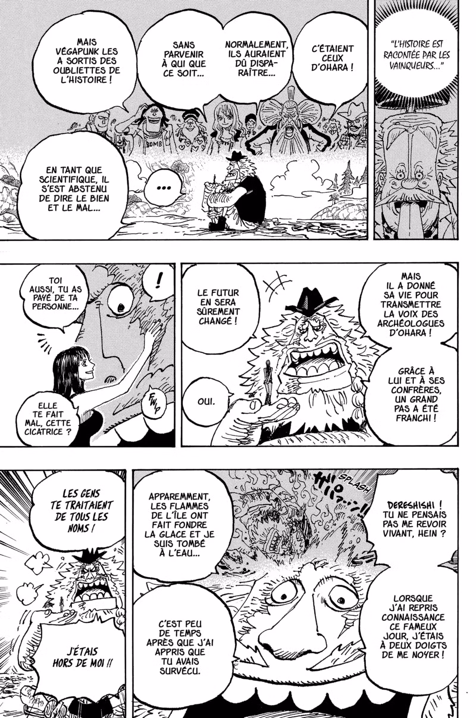 One Piece Chapitre 1133 page 13