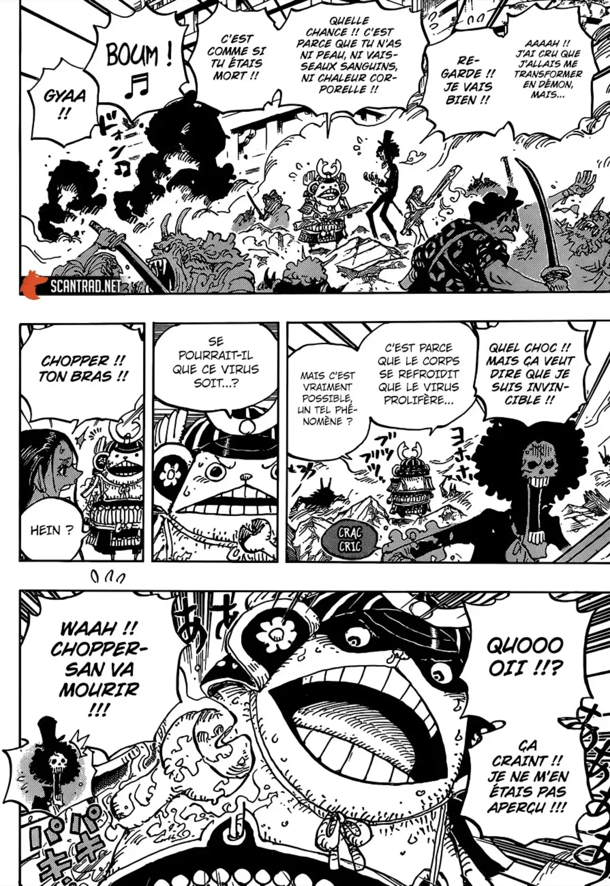 One Piece Chapitre 995 page 11