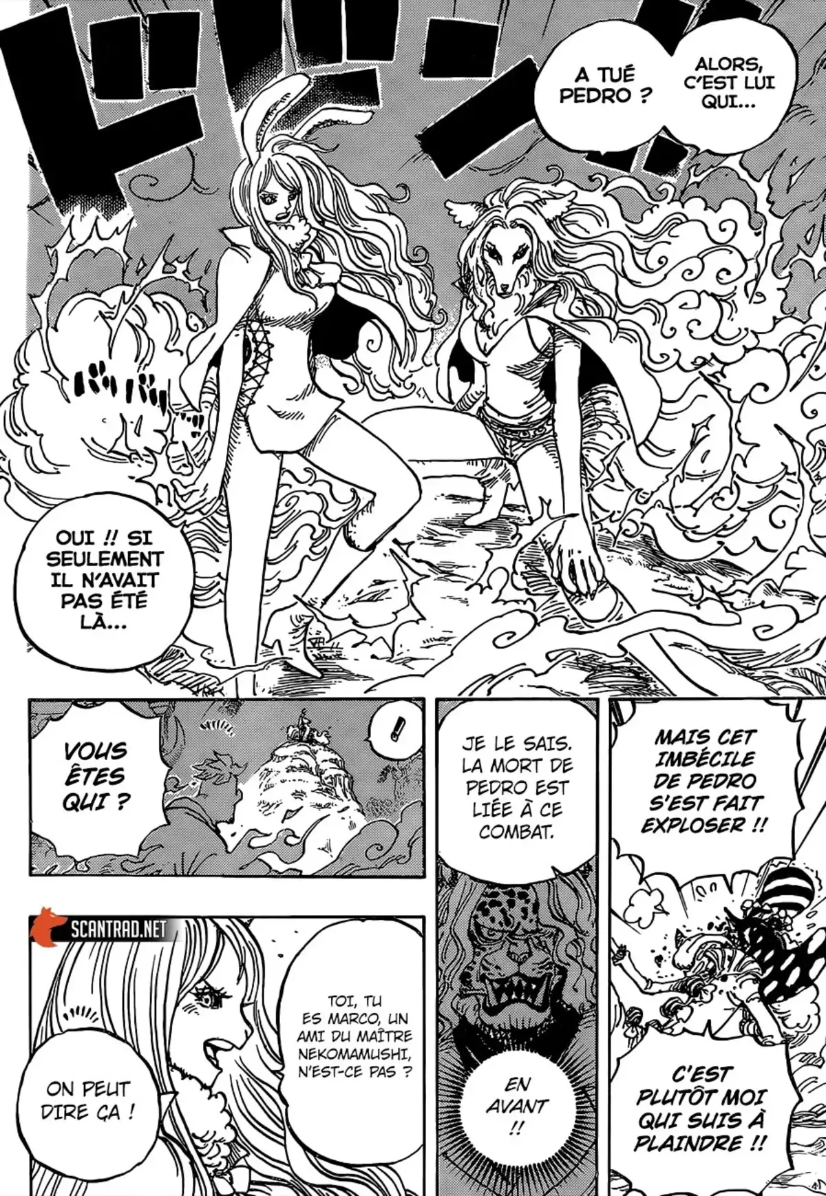 One Piece Chapitre 995 page 5