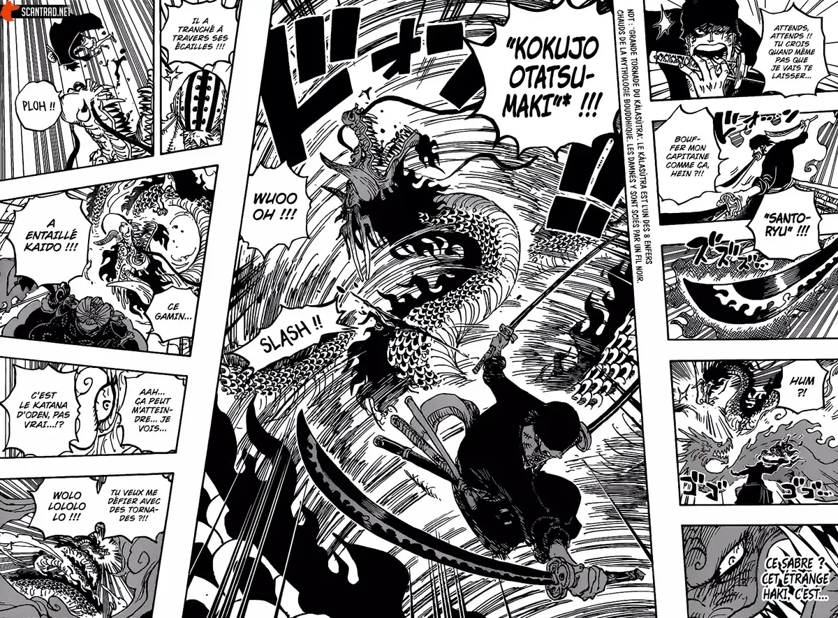 One Piece Chapitre 1003 page 8