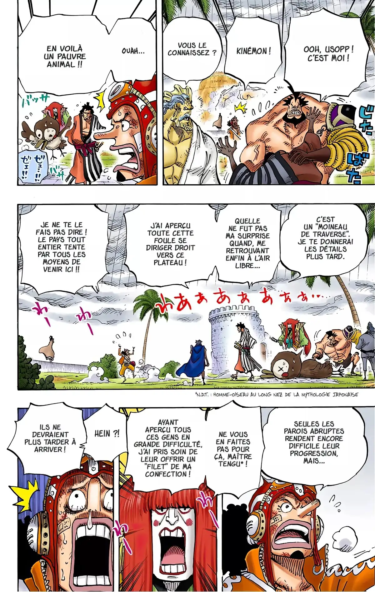 One Piece Volume 76 page 51