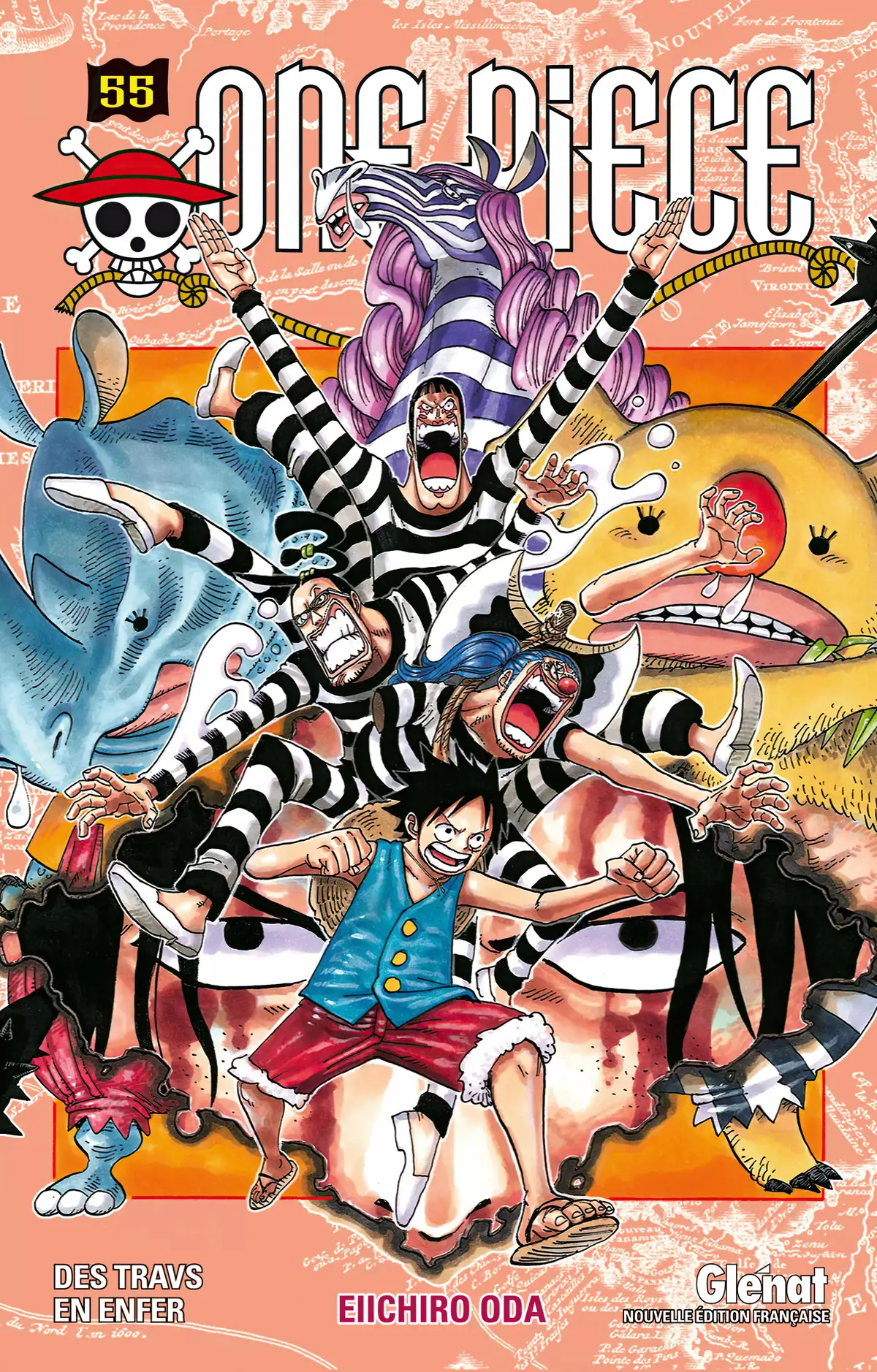 One Piece Volume 55 page 1