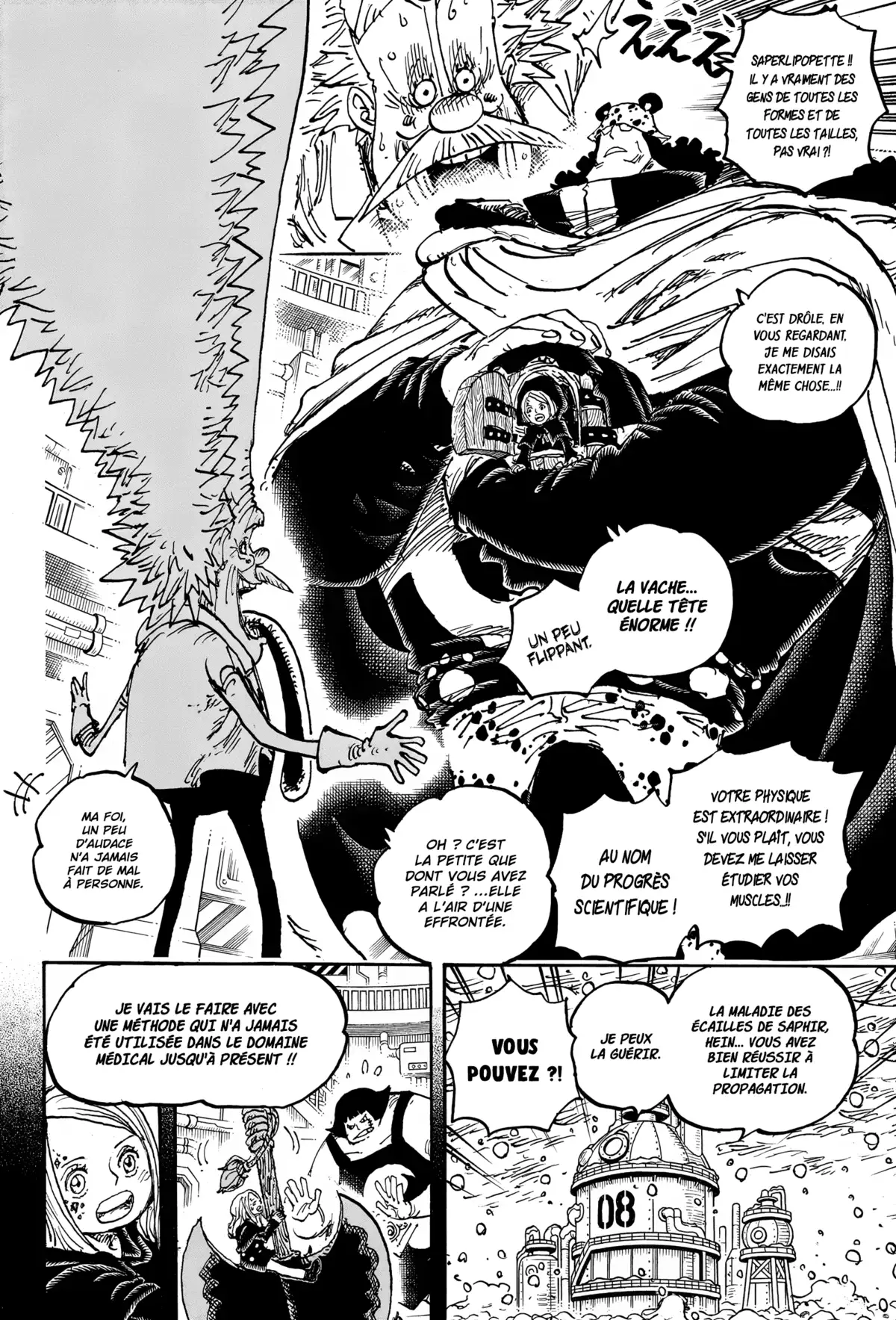 One Piece Chapitre 1099 page 13