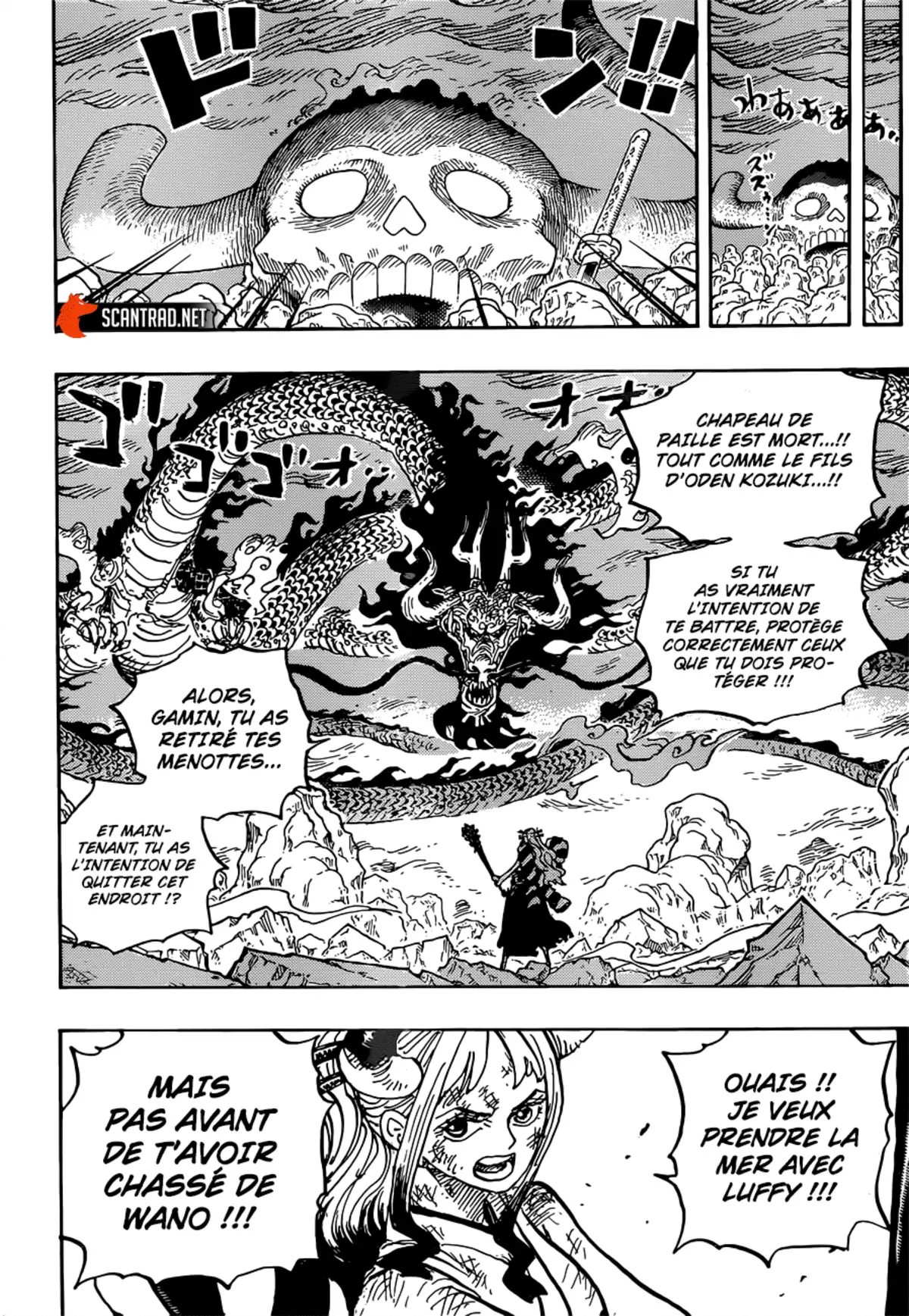 One Piece Chapitre 1016 page 13