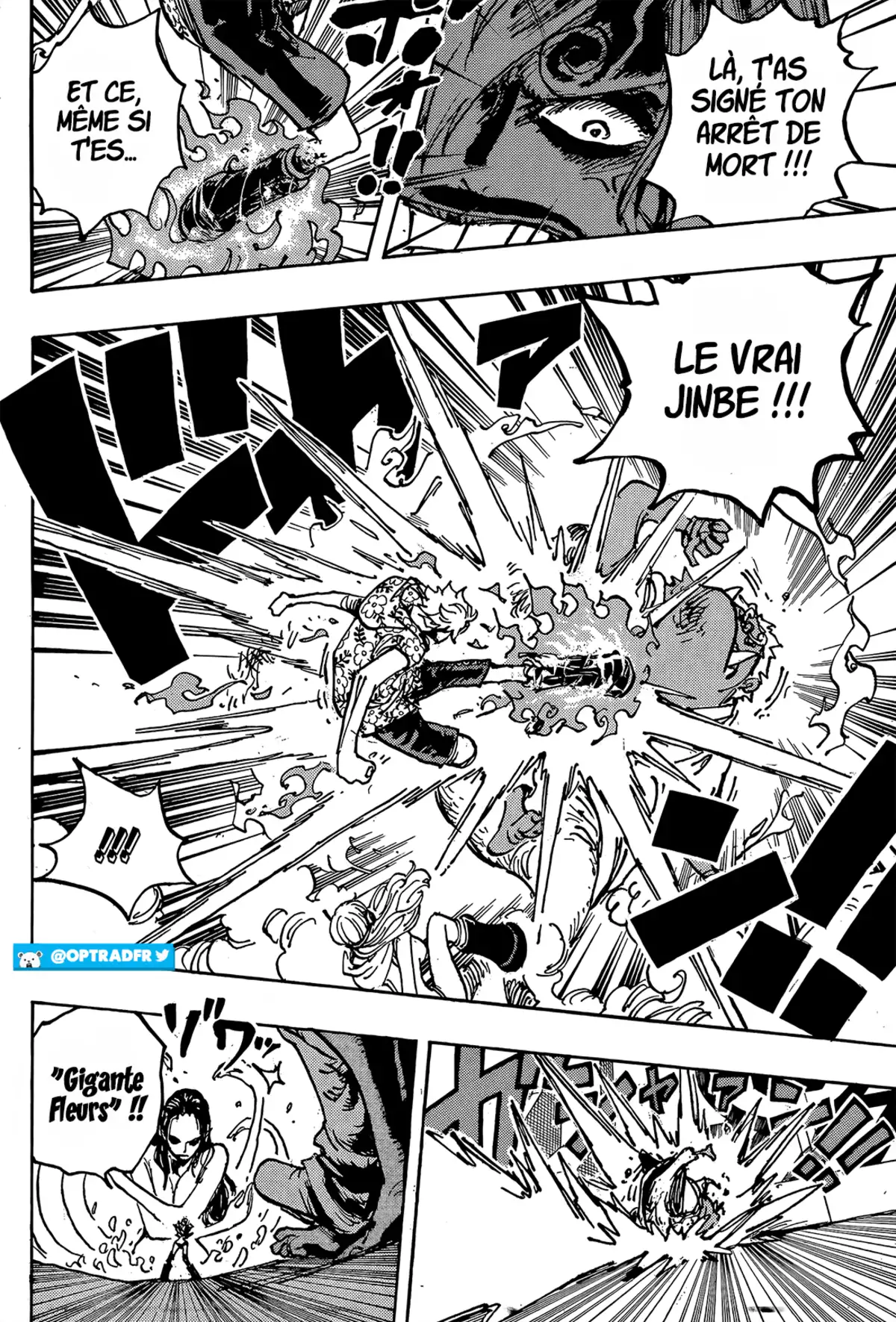 One Piece Chapitre 1065 page 9