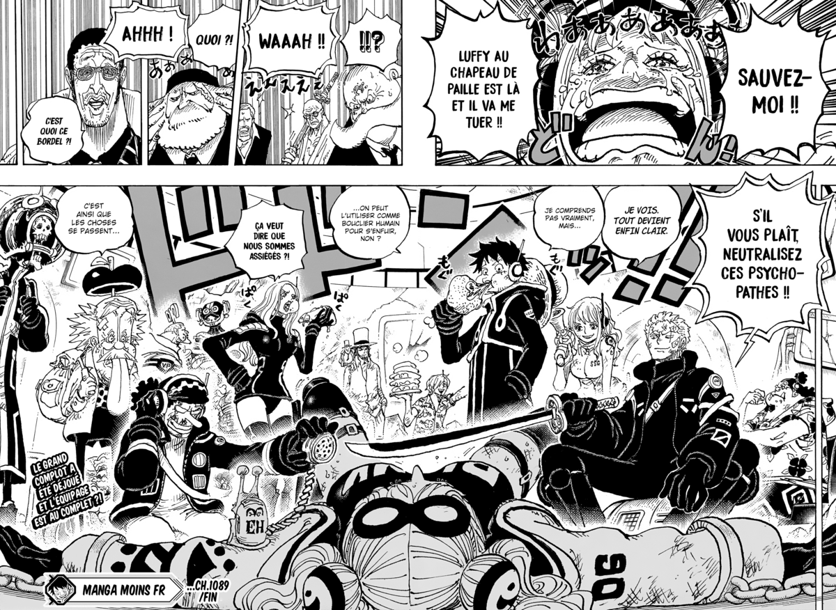 One Piece Chapitre 1089 page 16