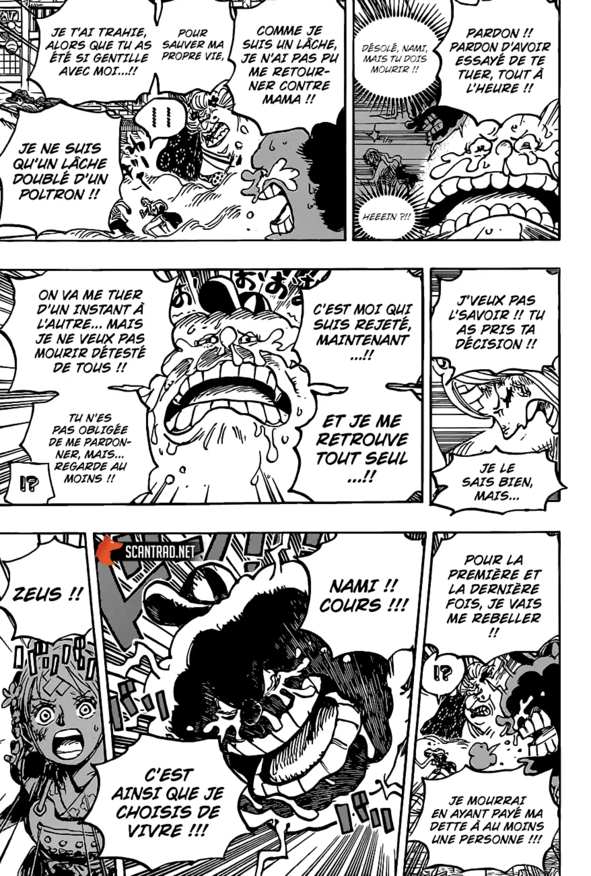 One Piece Chapitre 1013 page 10