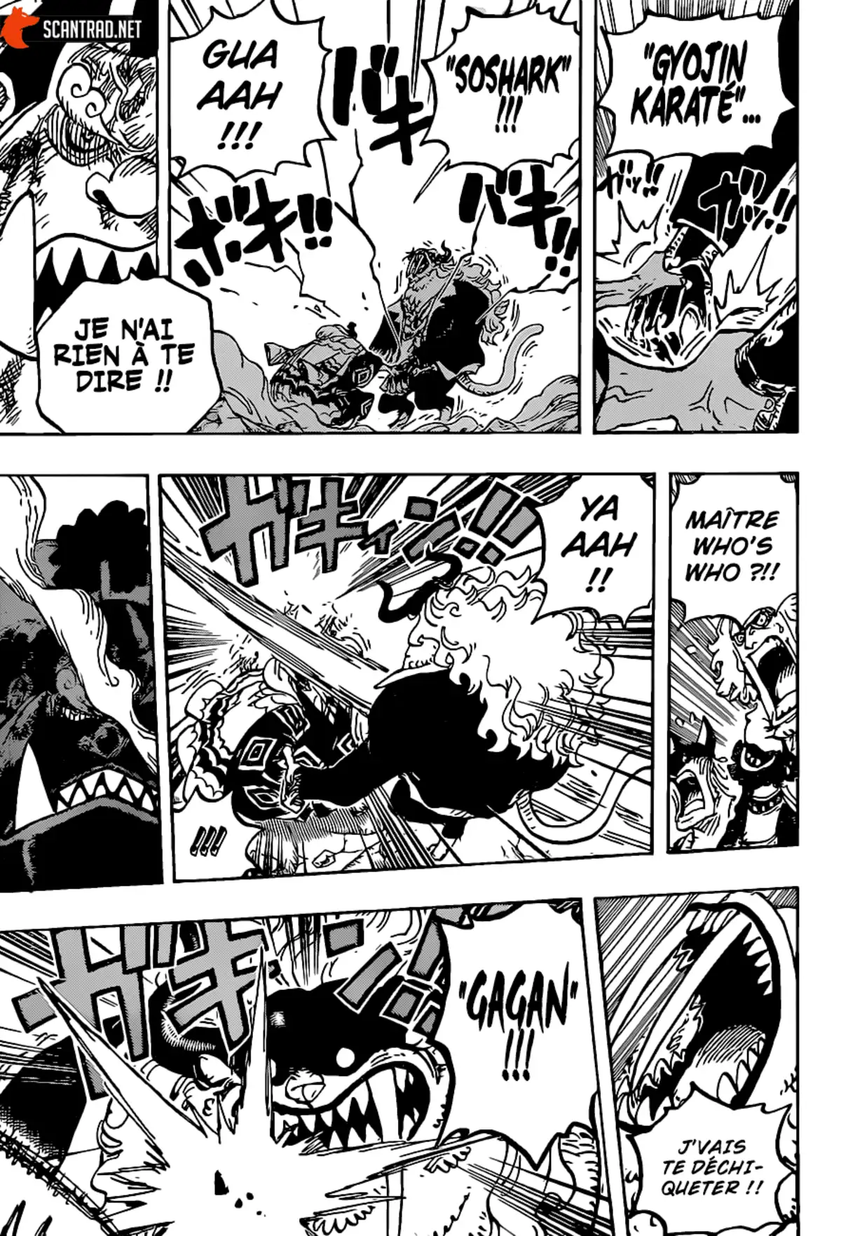 One Piece Chapitre 1018 page 15